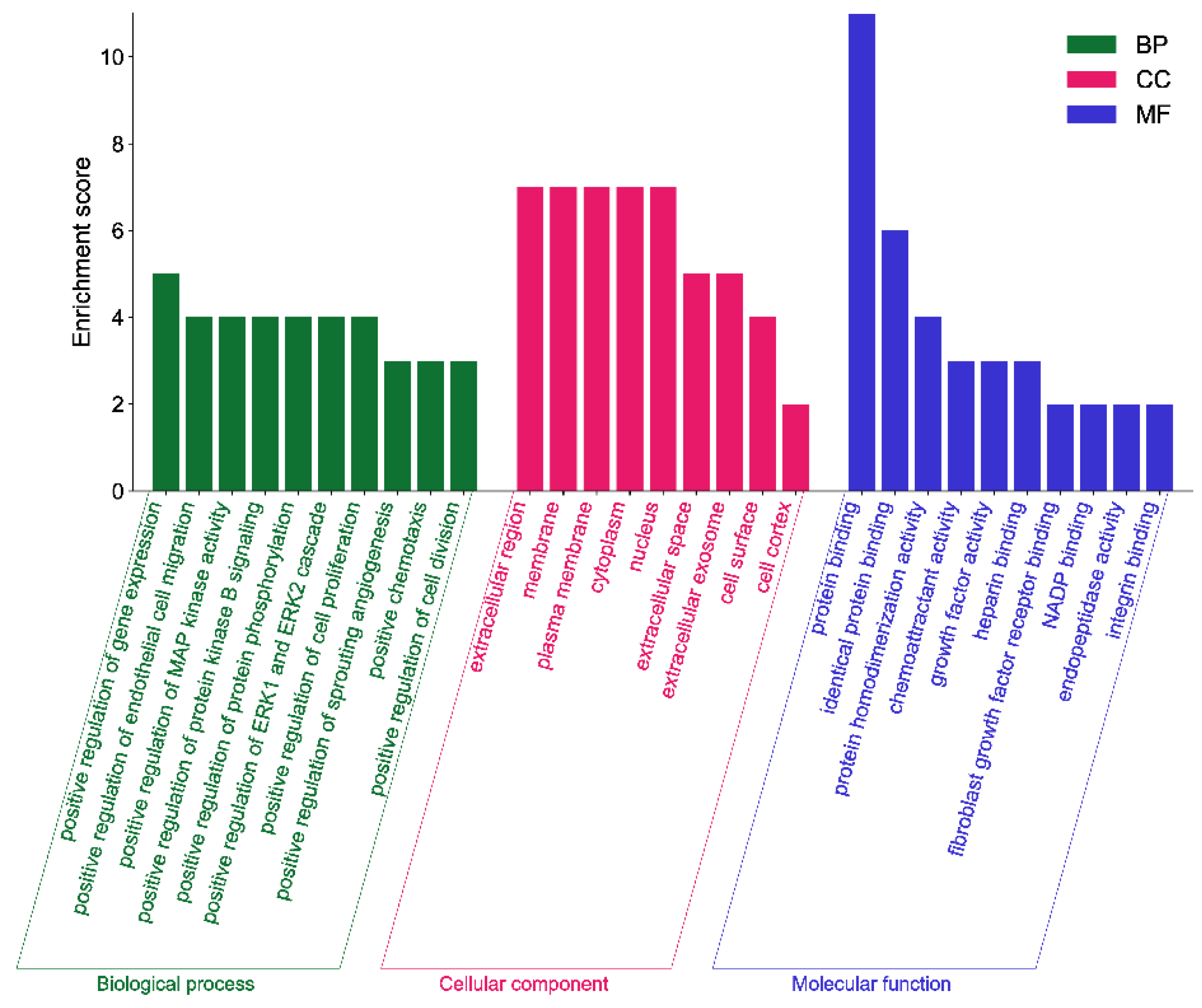 Molecules 28 05872 g008