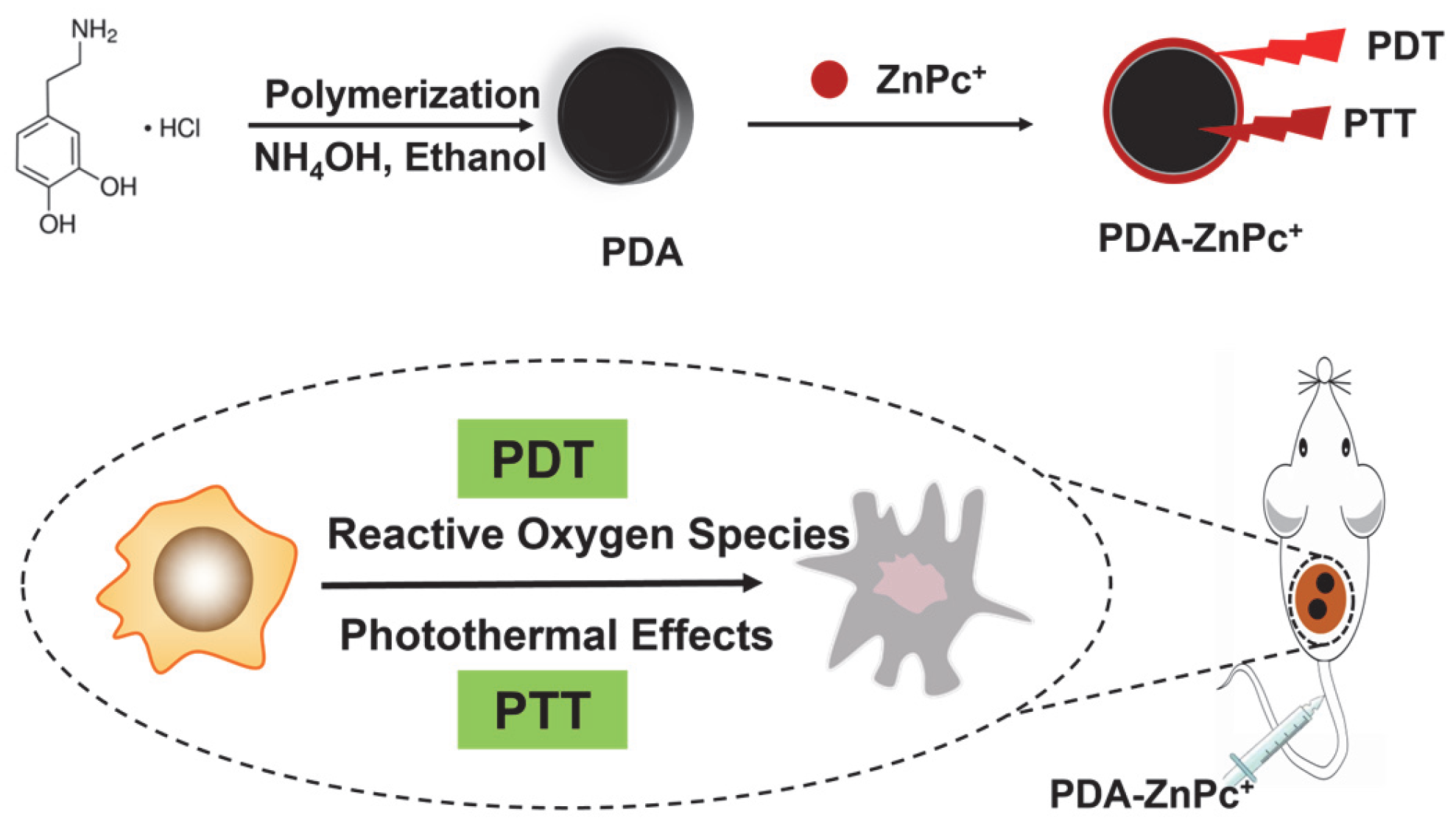 Molecules 28 05874 g001