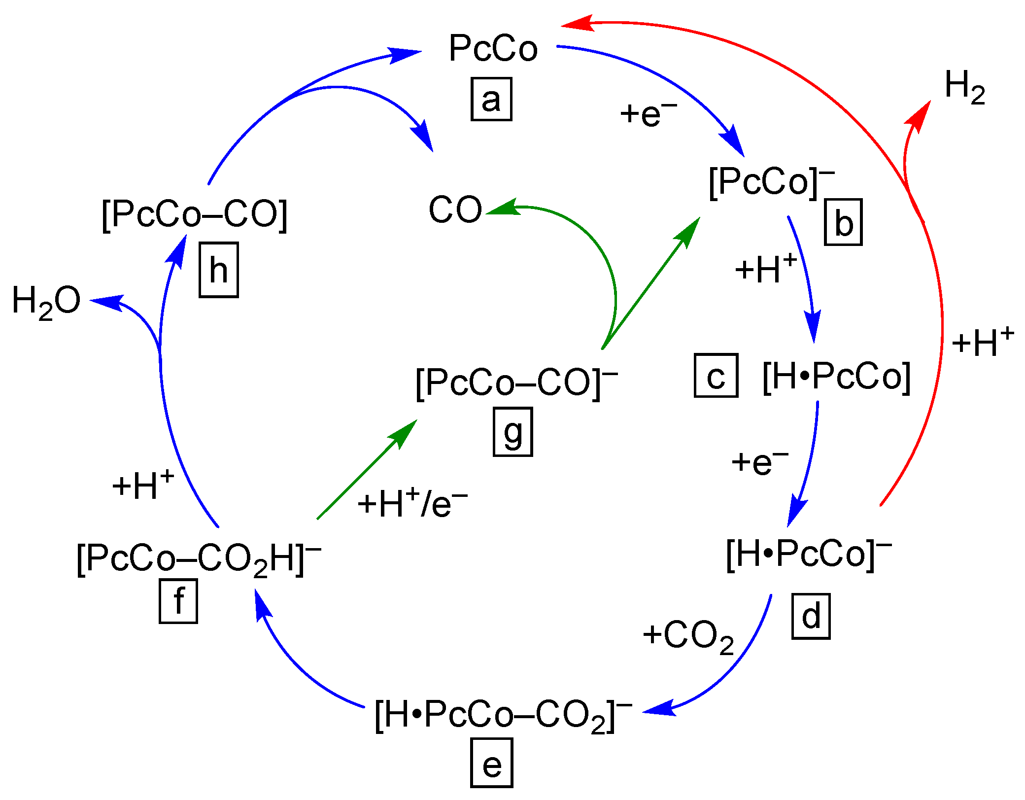 Molecules 28 05878 g004 Molecules 28 05878 g004