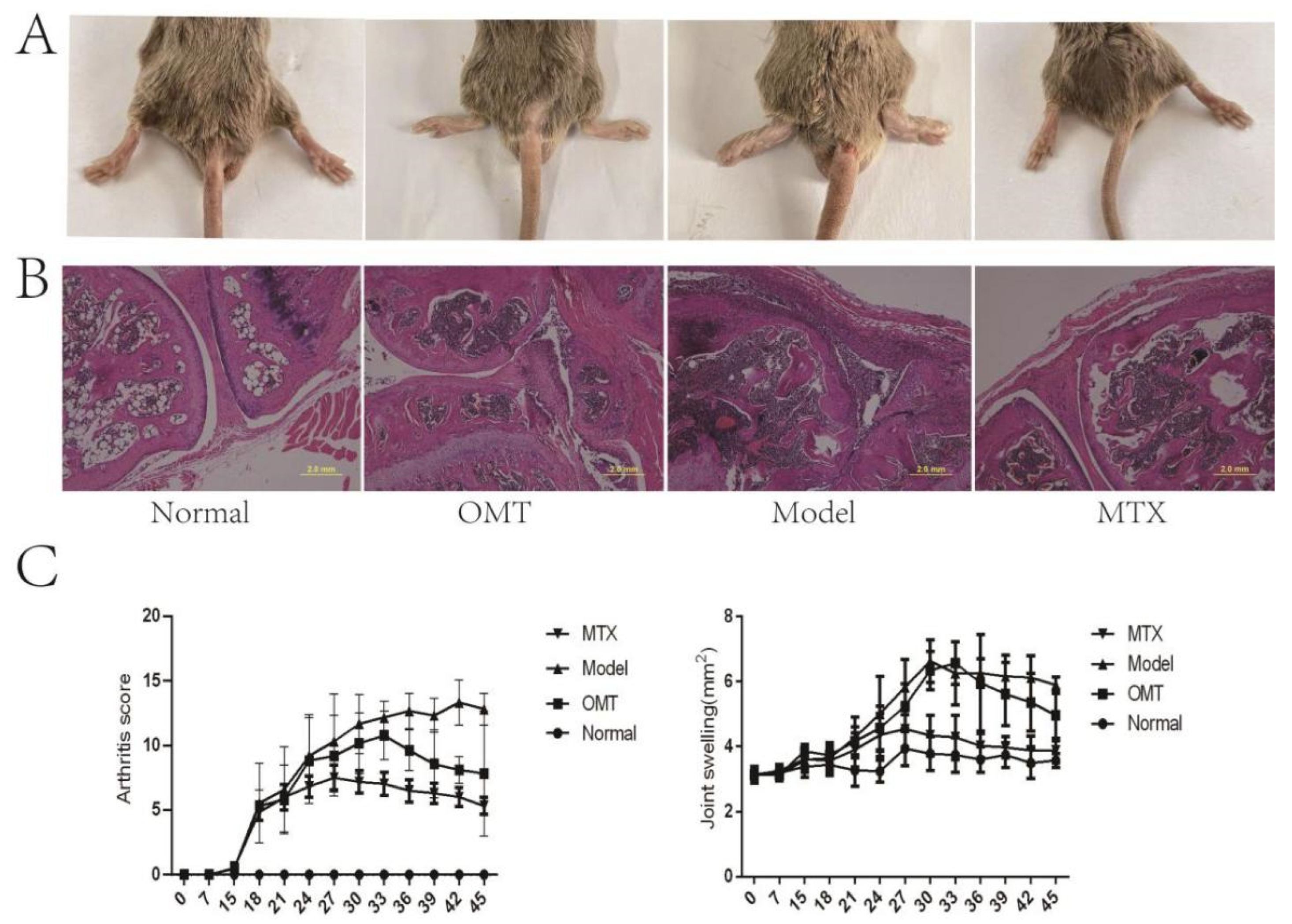 Molecules 28 05879 g001 Molecules 28 05879 g001