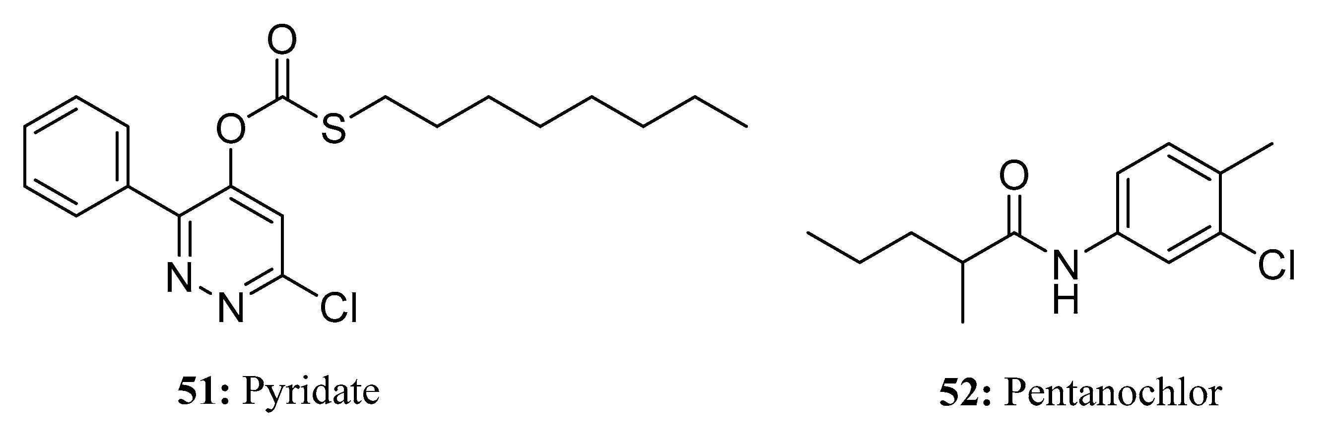 Molecules 28 05880 g025 Molecules 28 05880 g025