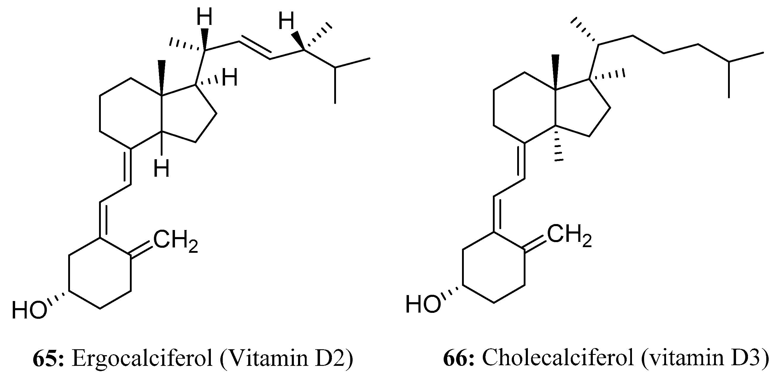 Molecules 28 05880 g031 Molecules 28 05880 g031