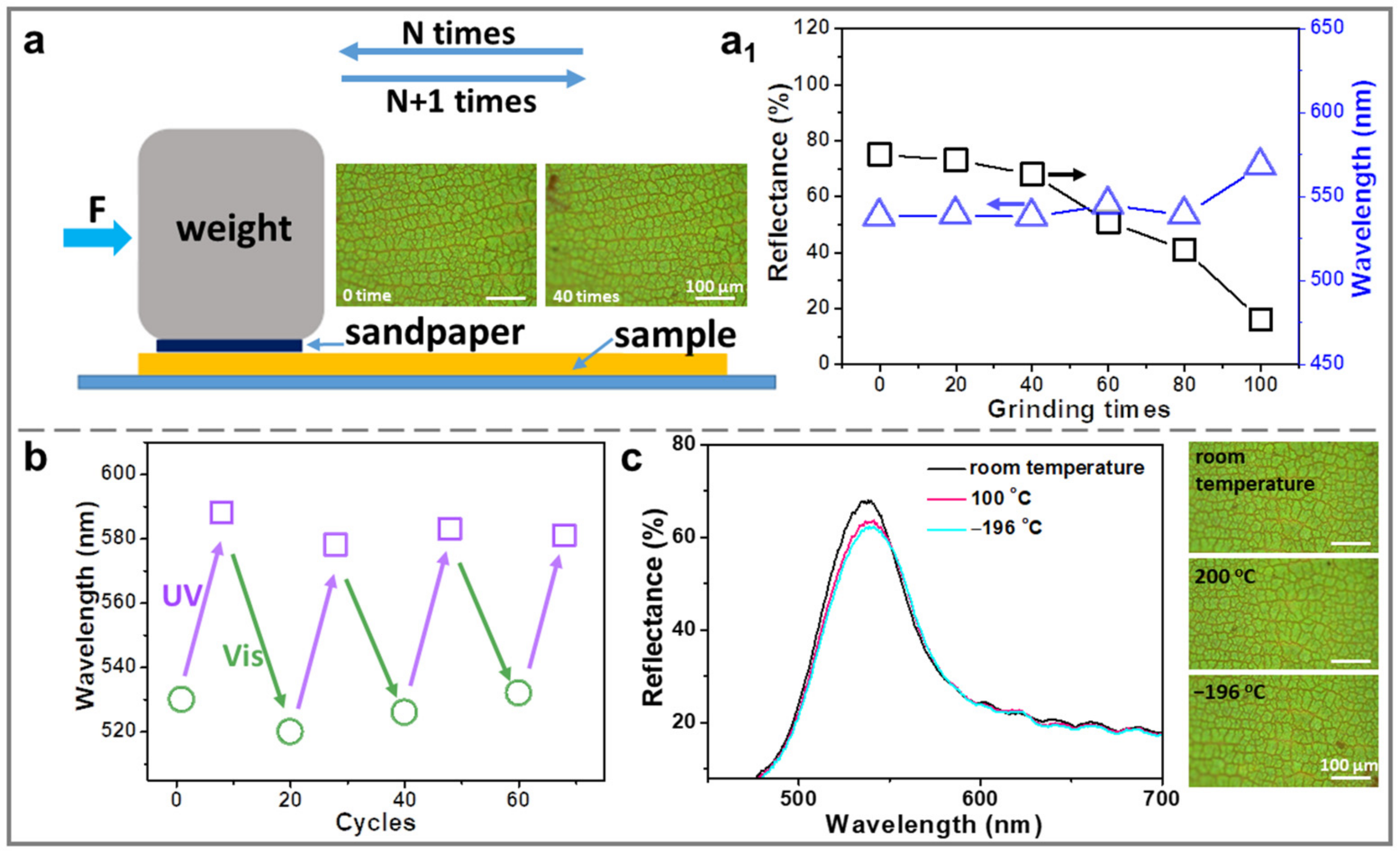 Molecules 28 05881 g005 Molecules 28 05881 g005