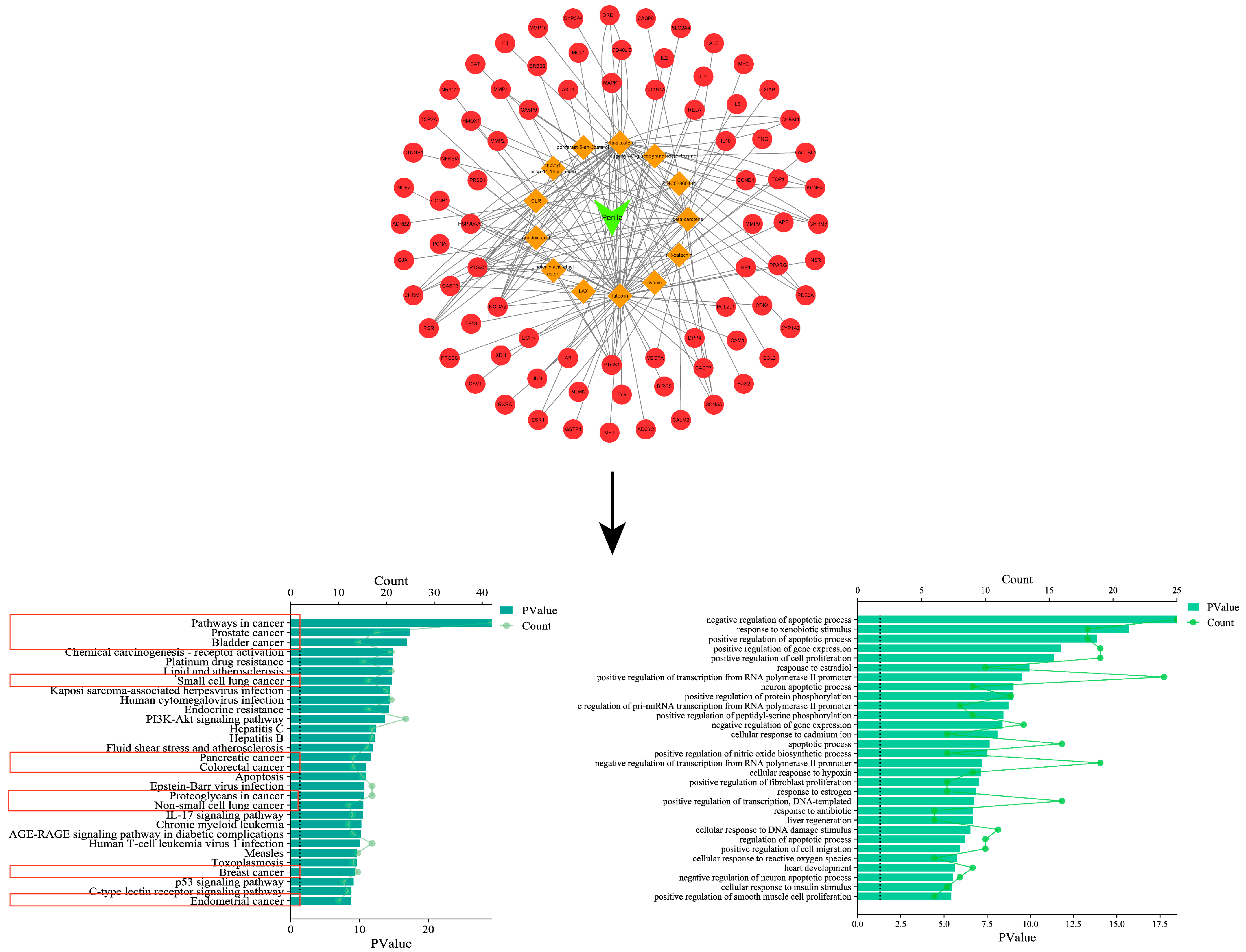 Molecules 28 05883 g002 Molecules 28 05883 g002