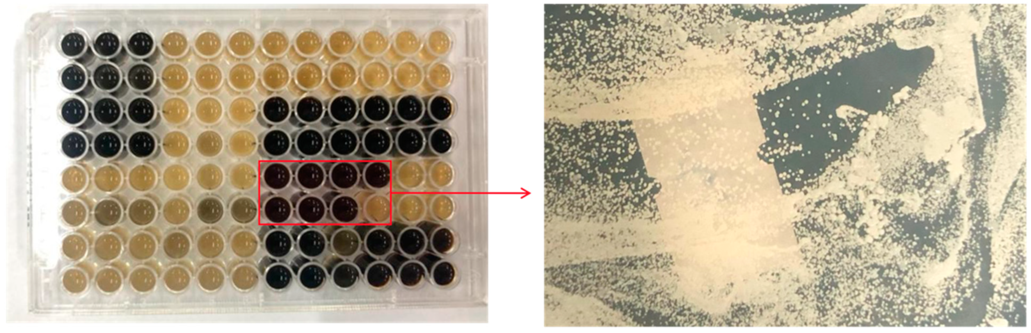 Molecules 28 05890 g001 Molecules 28 05890 g001