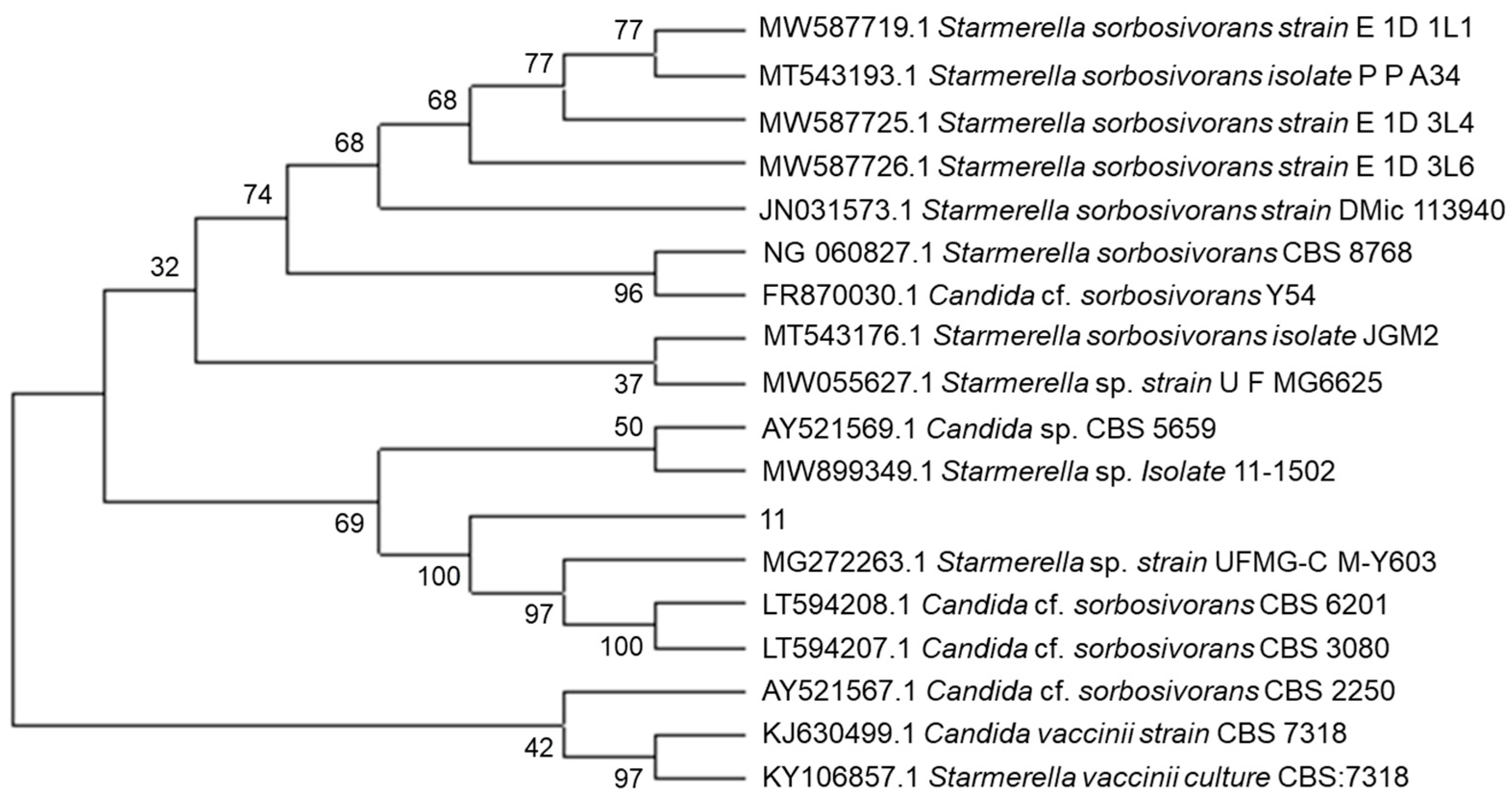 Molecules 28 05890 g002 Molecules 28 05890 g002