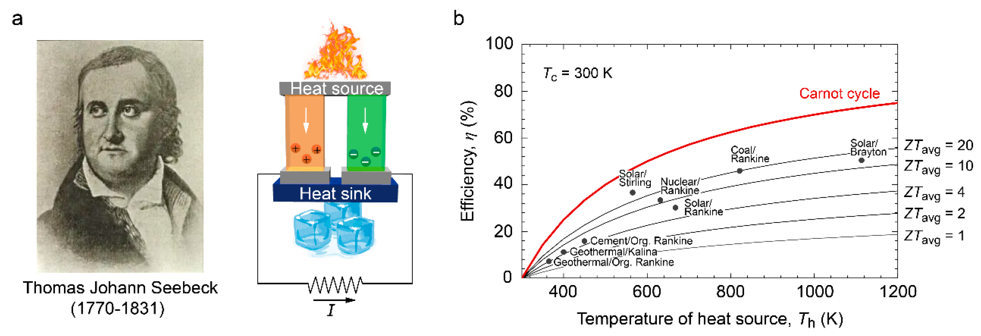 Molecules 28 05894 g001 Molecules 28 05894 g001