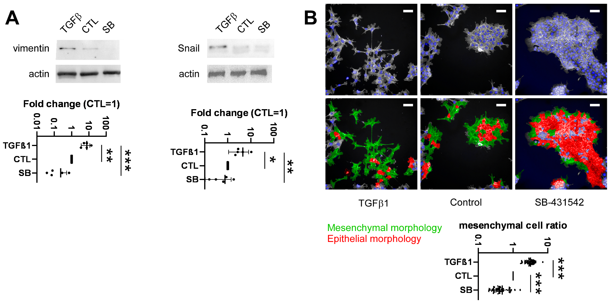 Molecules 28 05898 g003 Molecules 28 05898 g003