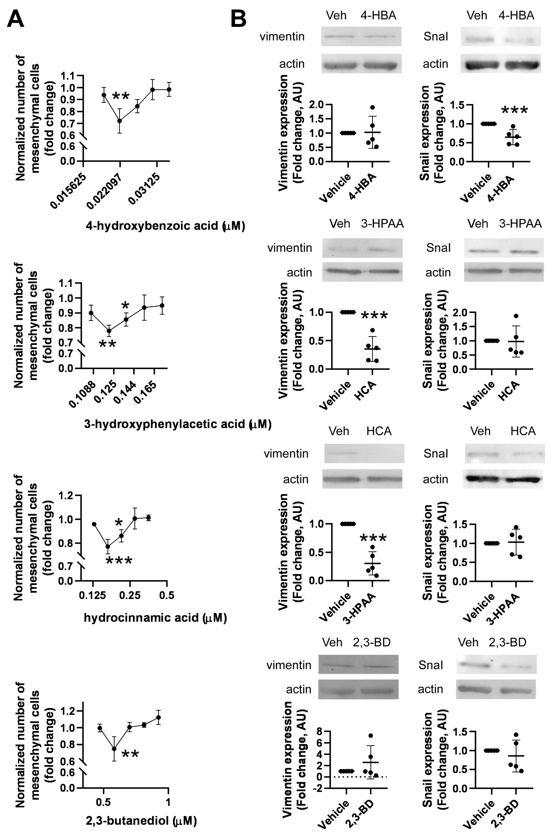 Molecules 28 05898 g005 Molecules 28 05898 g005