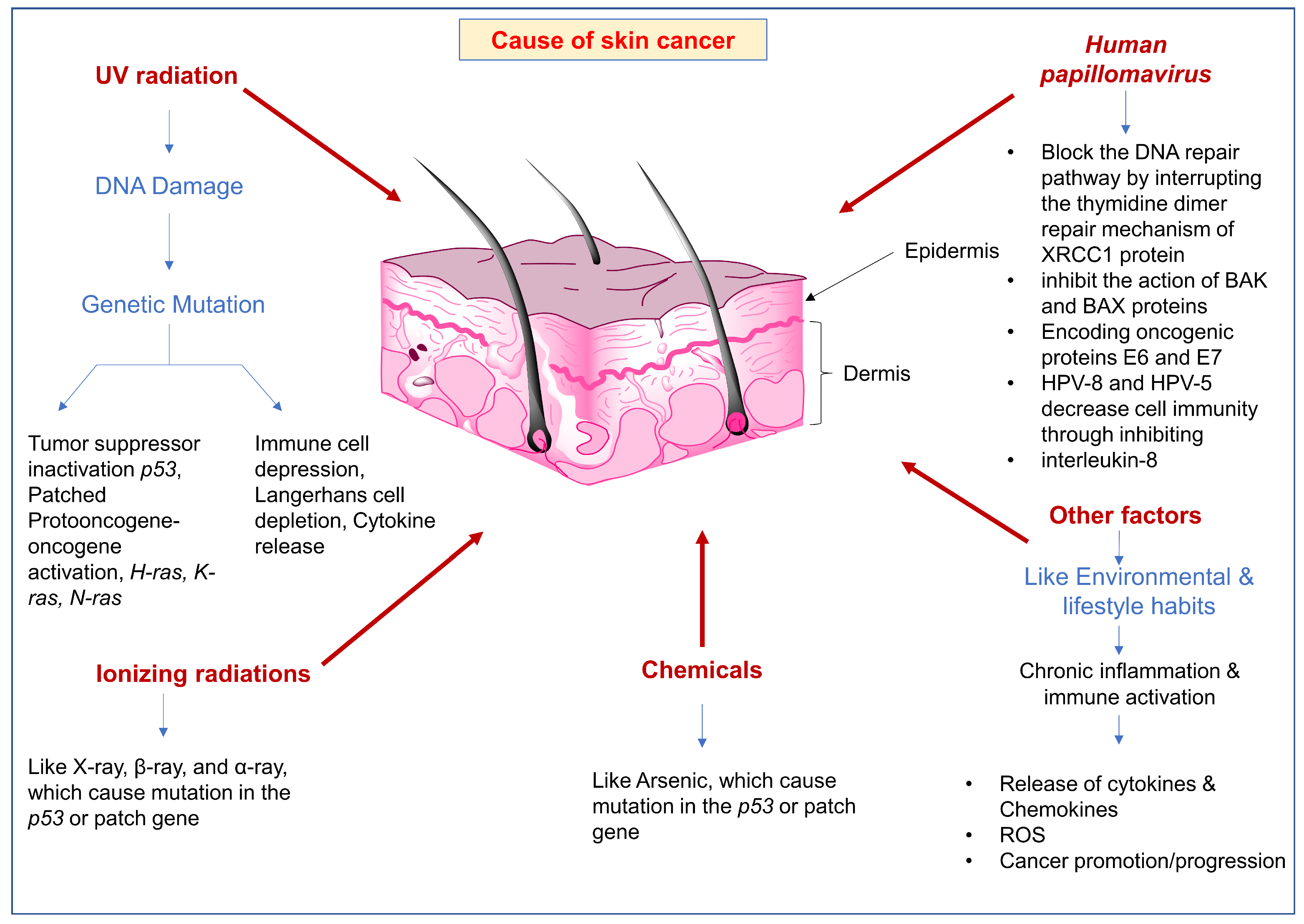Molecules 28 05905 g001
