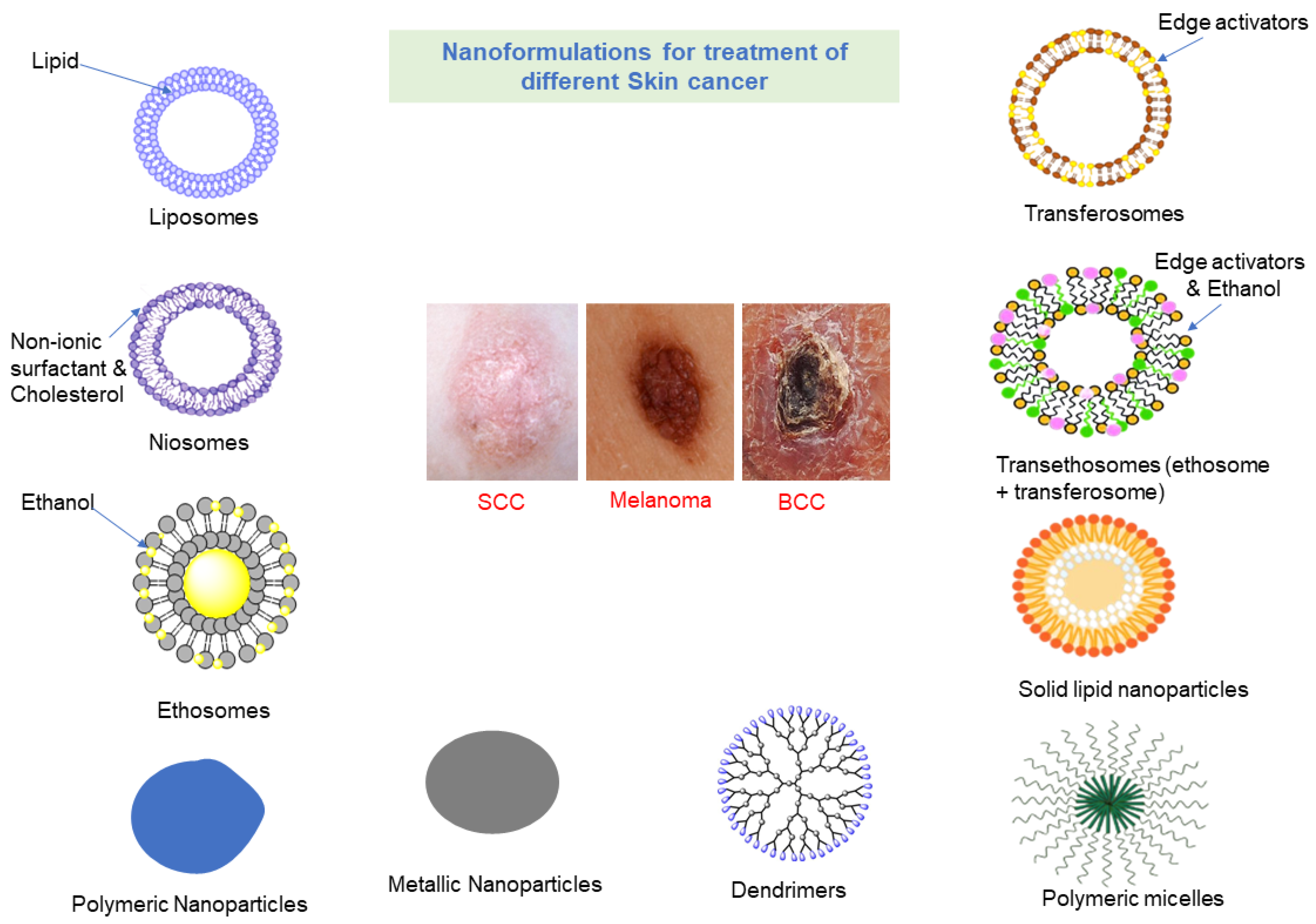 Molecules 28 05905 g002