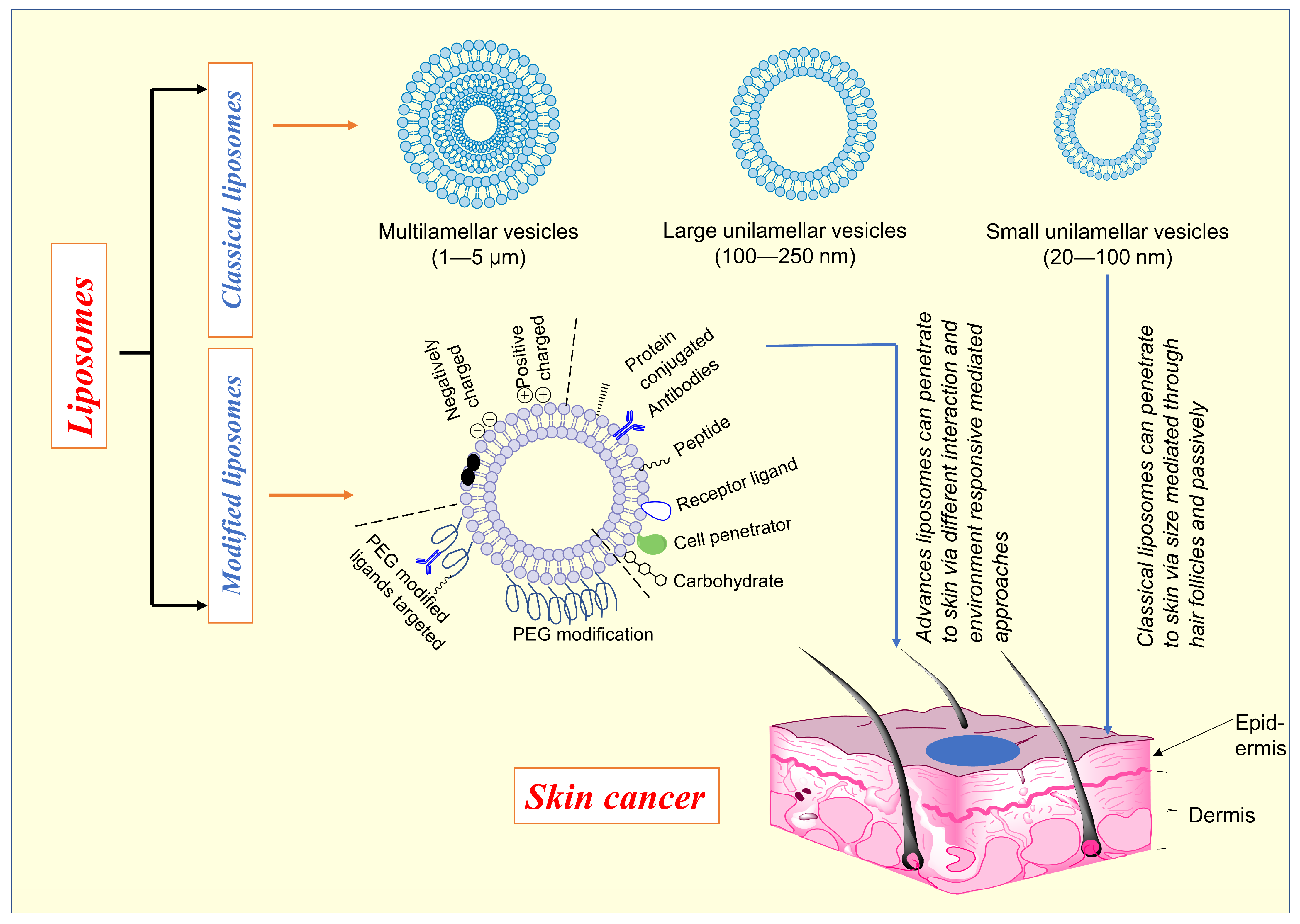 Molecules 28 05905 g003