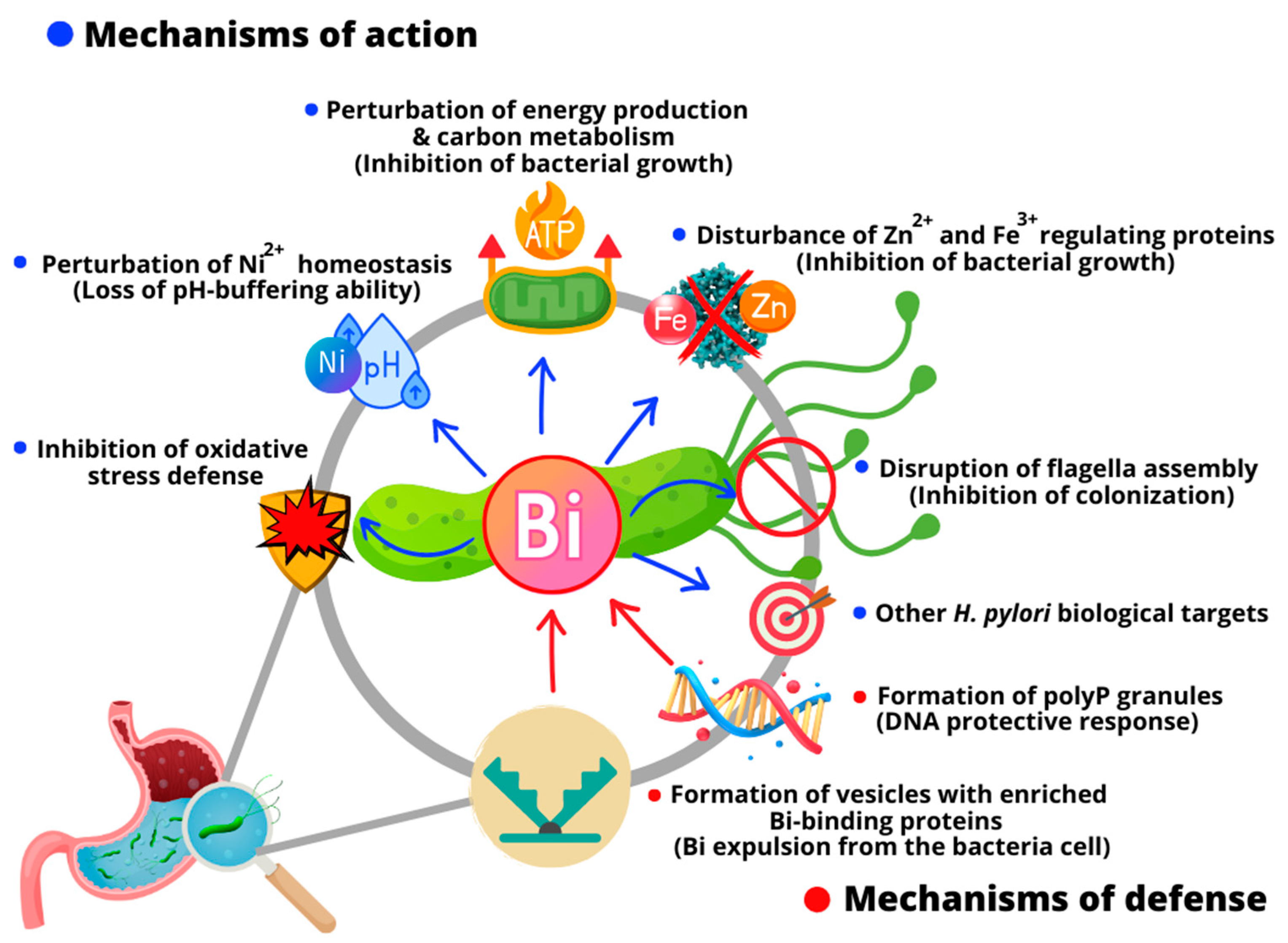 Molecules Free FullText Biological Activities of Bismuth Compounds