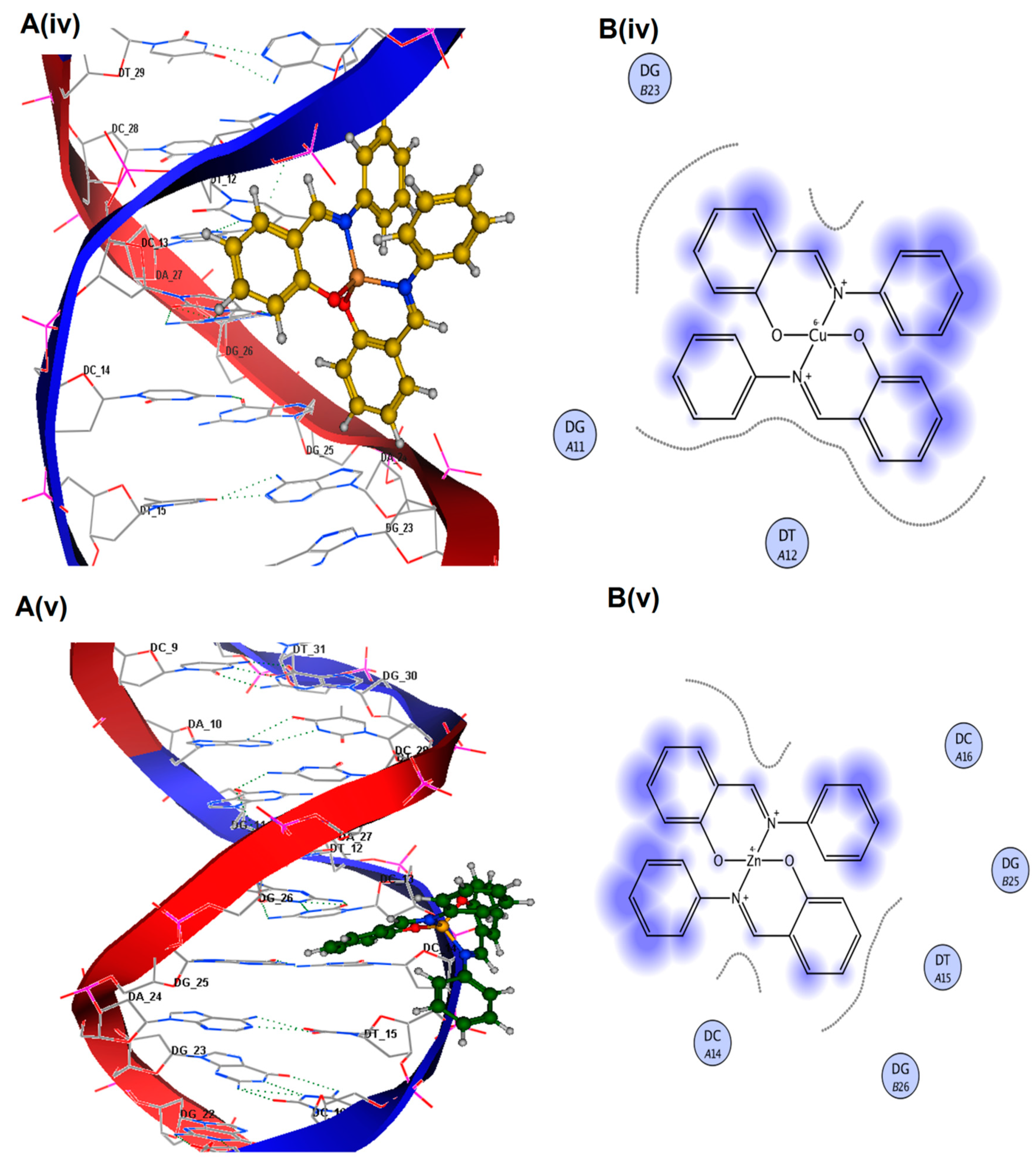 Molecules 28 05926 g005b