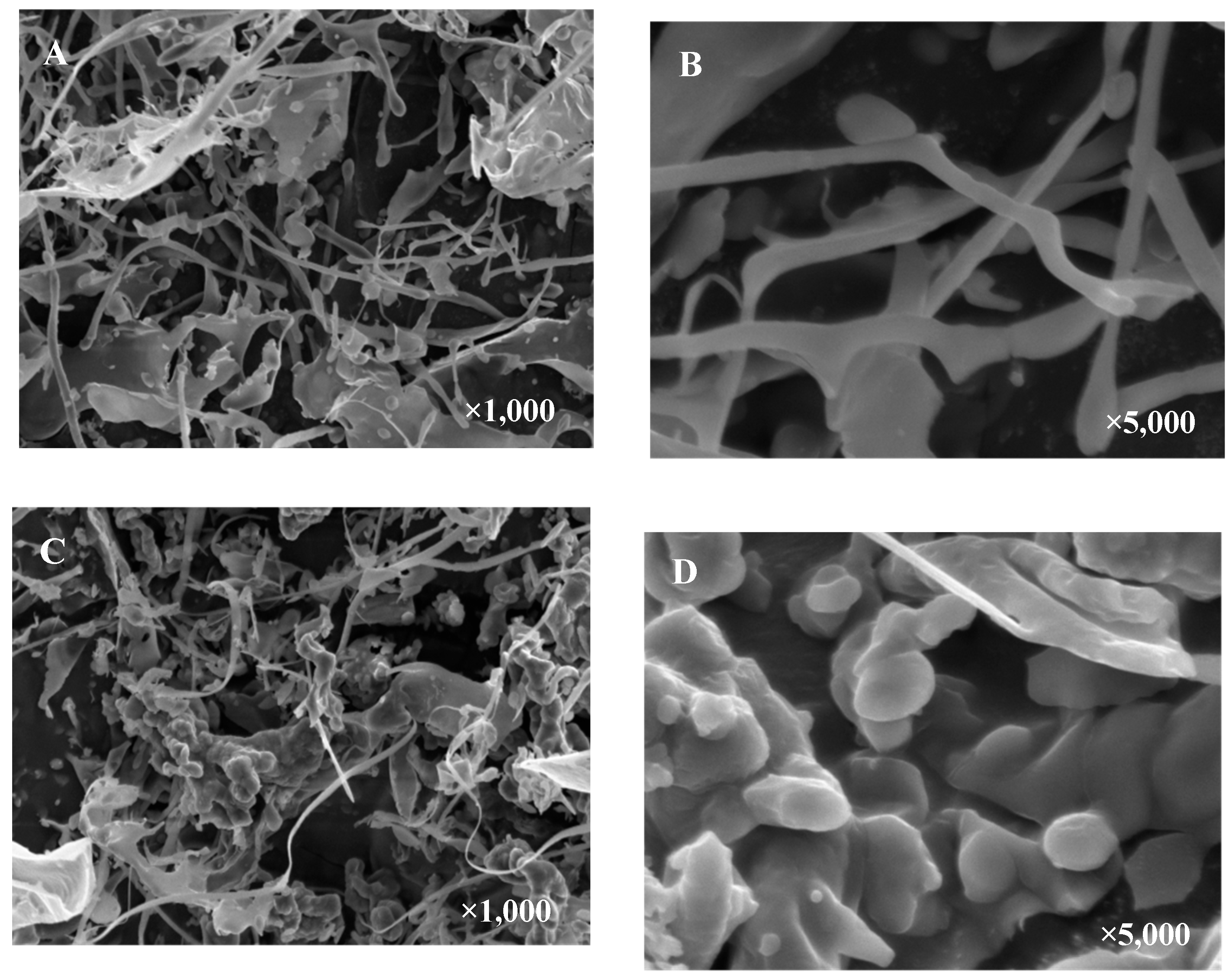 Molecules 28 05929 g003 Molecules 28 05929 g003