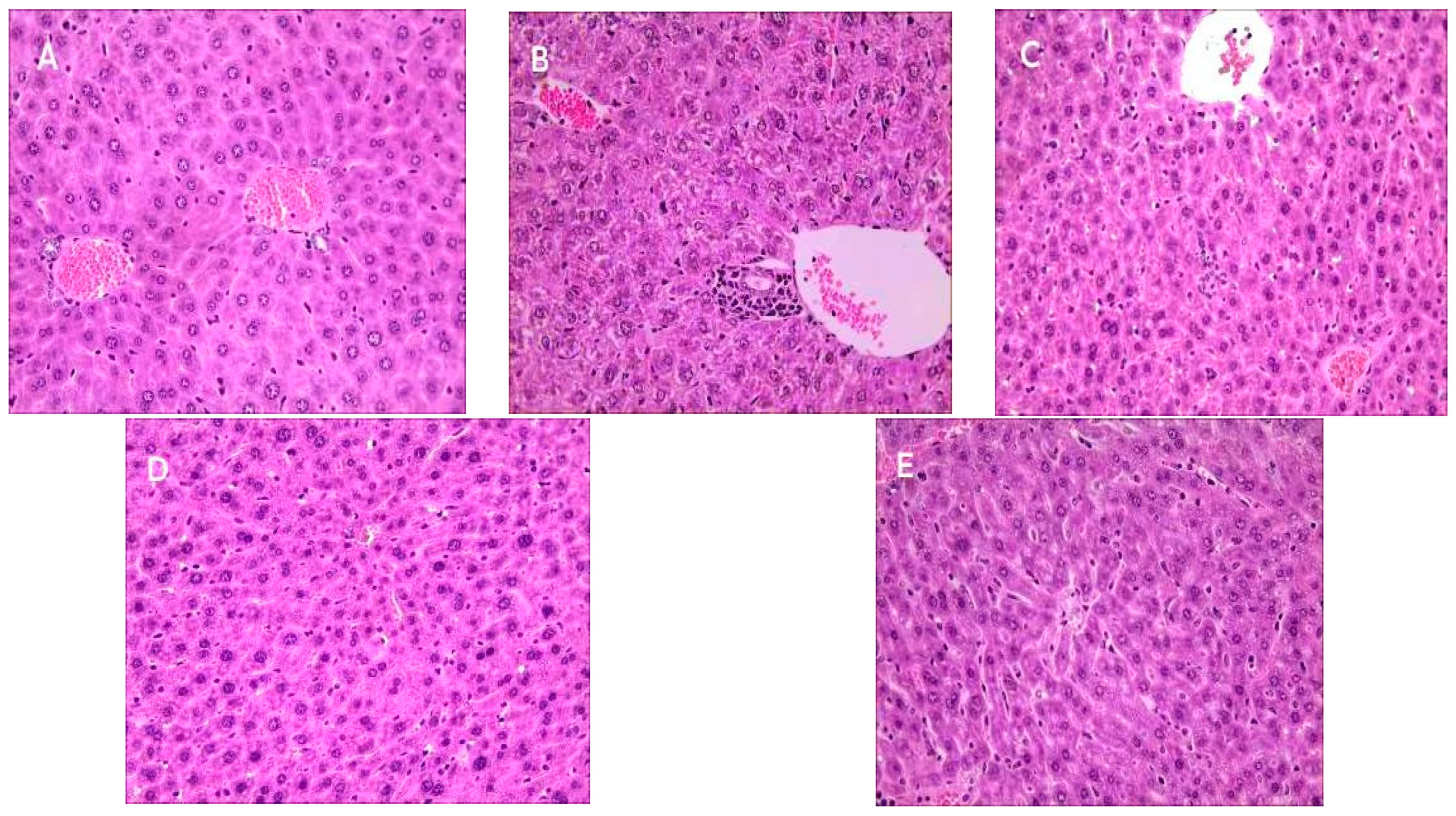 Molecules 28 05929 g007 Molecules 28 05929 g007