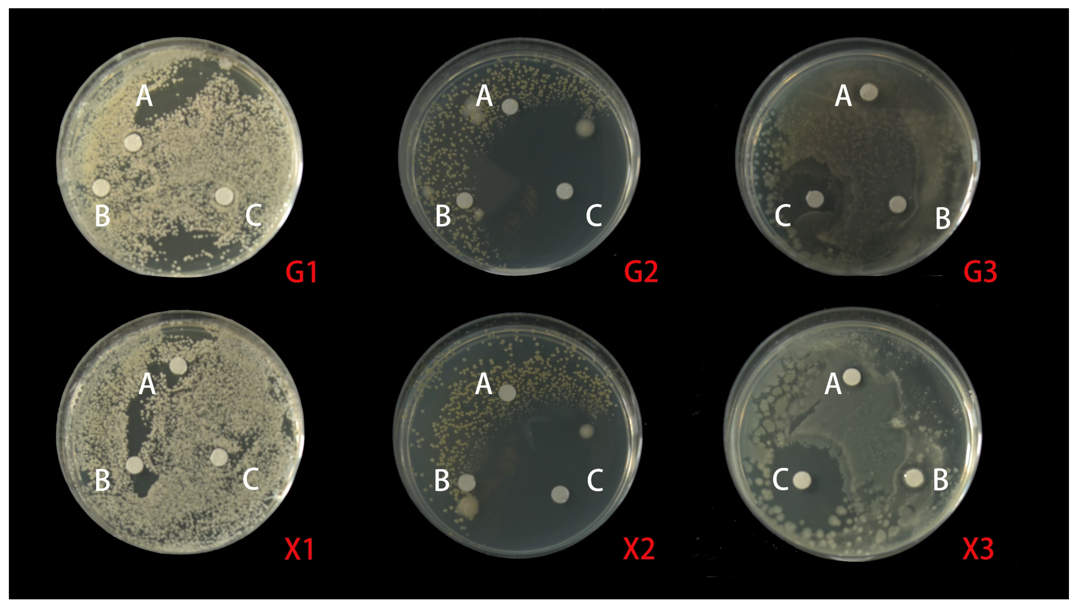 Molecules 28 05935 g004 Molecules 28 05935 g004