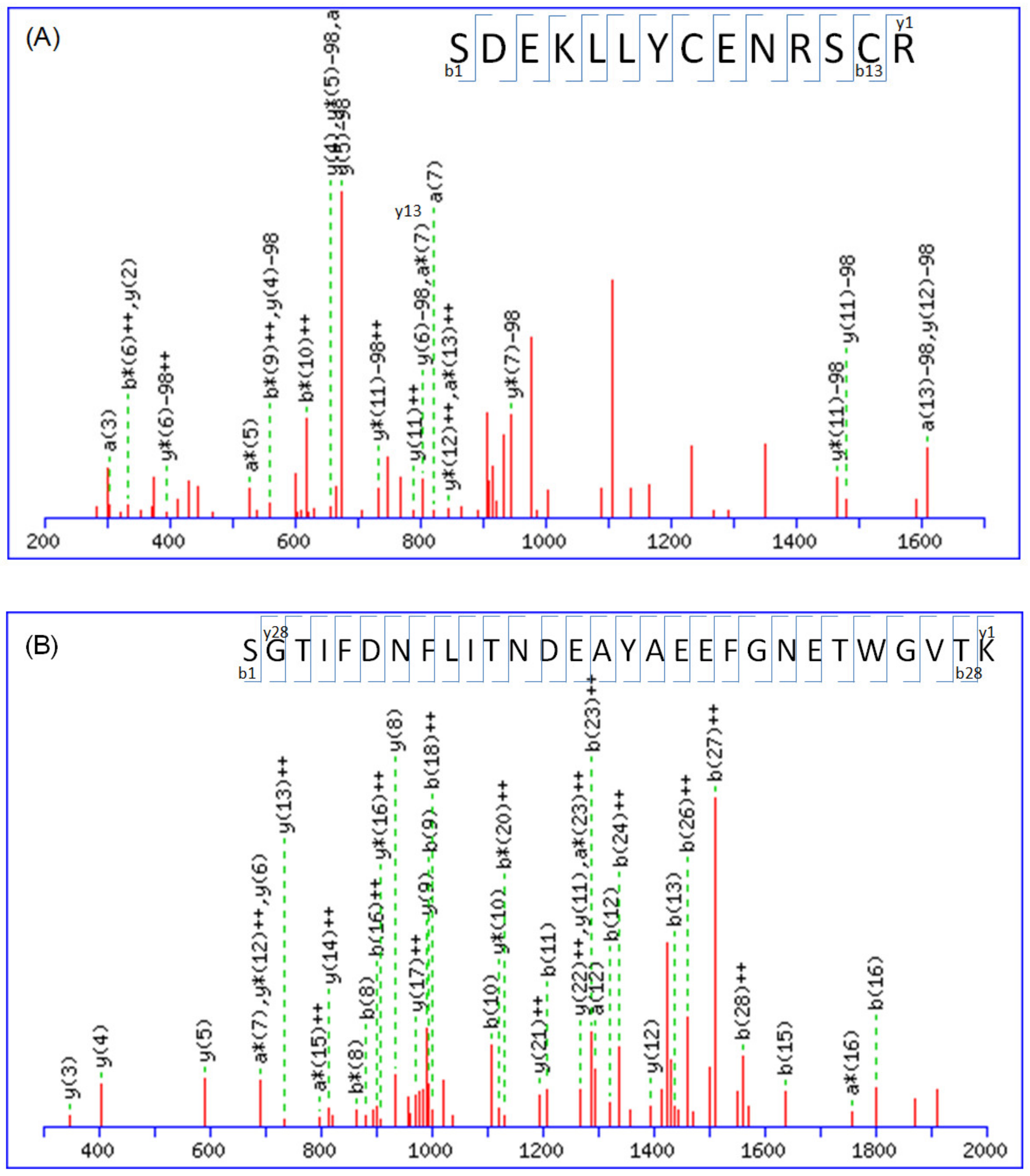 Molecules 28 05938 g001a Molecules 28 05938 g001a