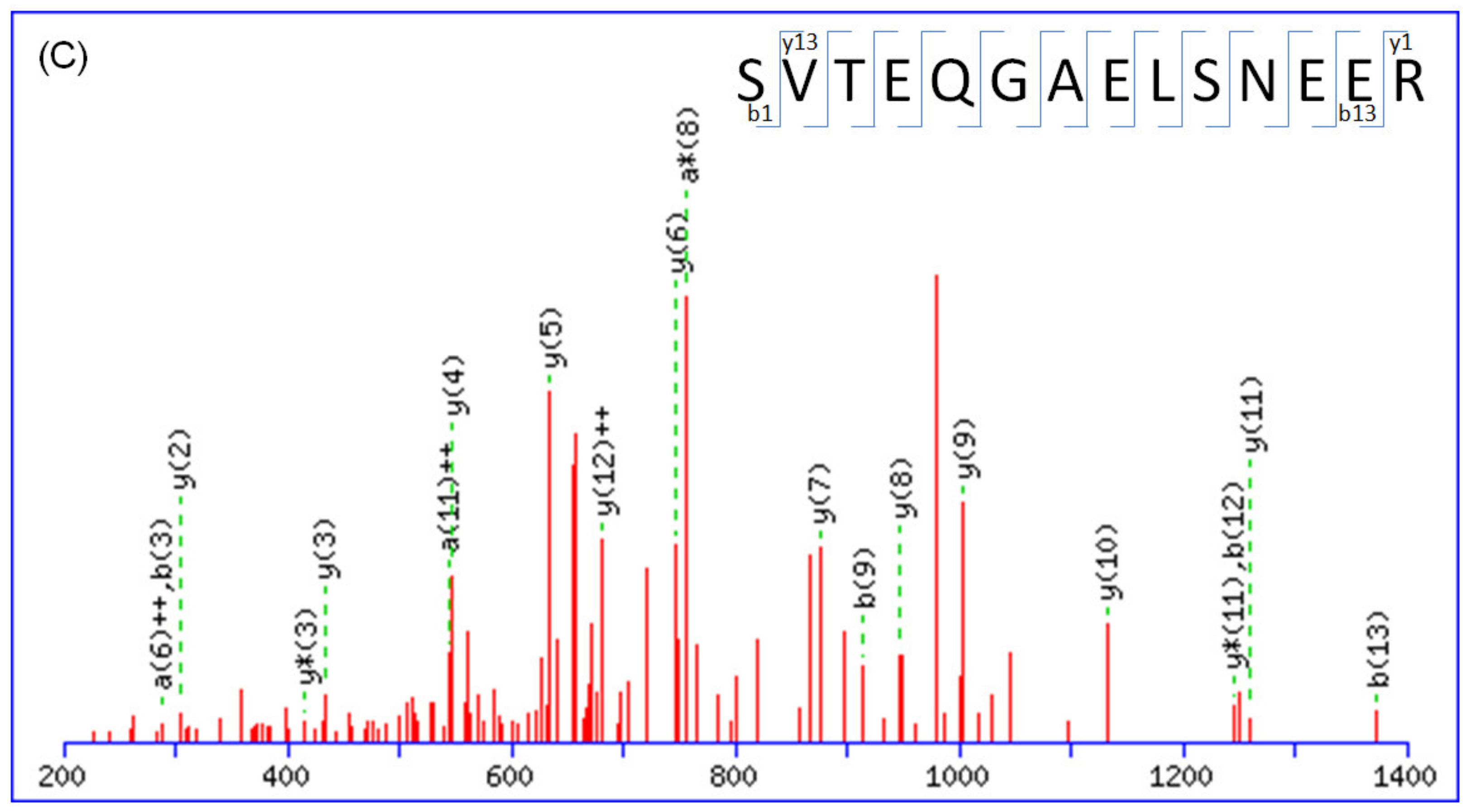 Molecules 28 05938 g001b Molecules 28 05938 g001b