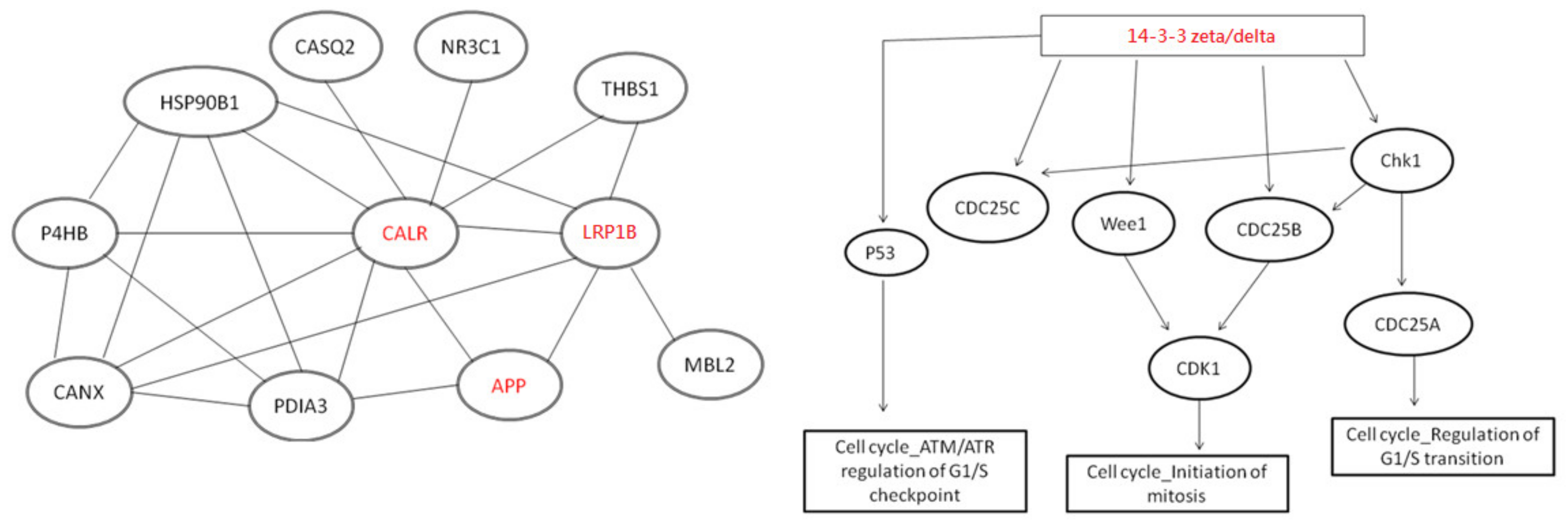 Molecules 28 05938 g004 Molecules 28 05938 g004