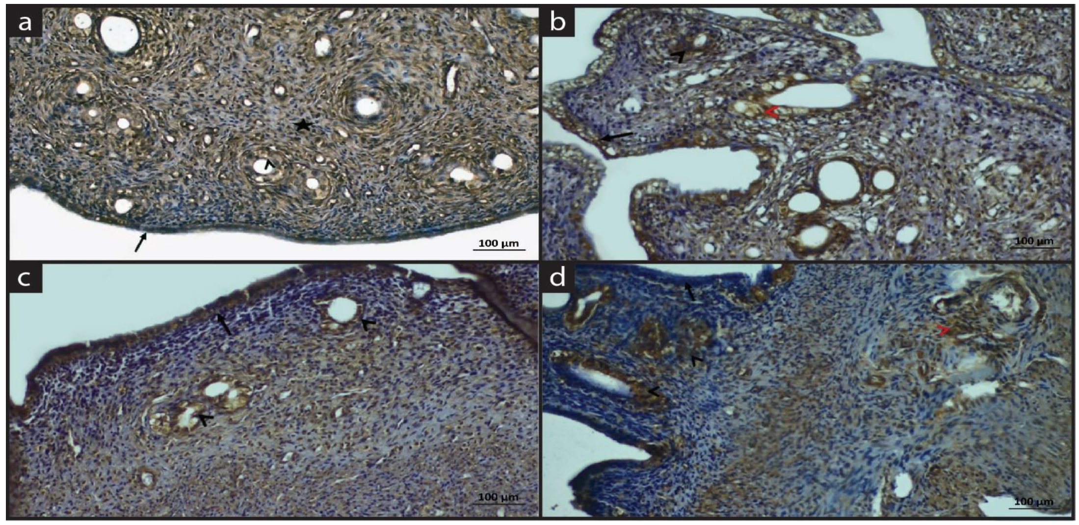 Molecules 28 05945 g004