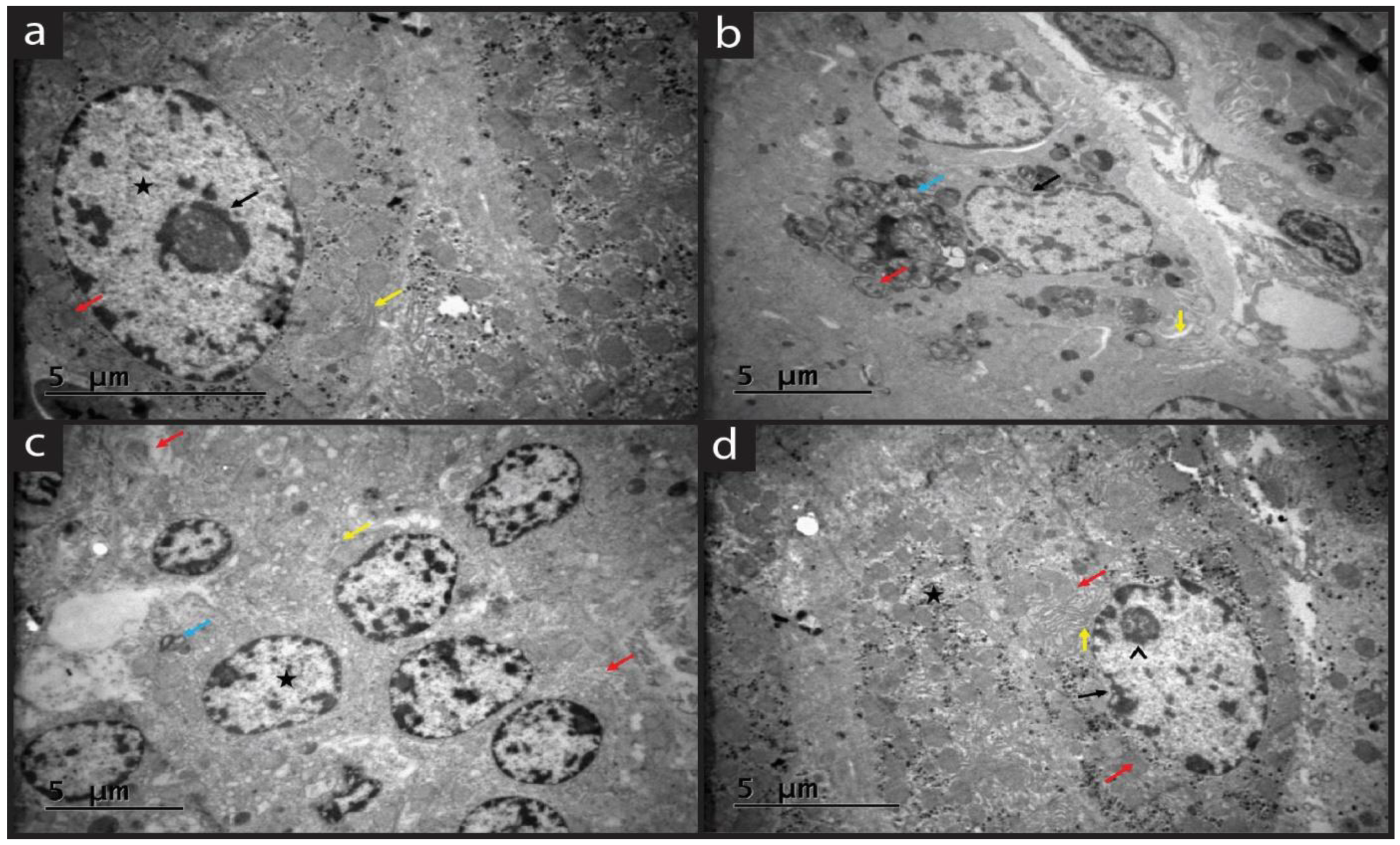 Molecules 28 05945 g005