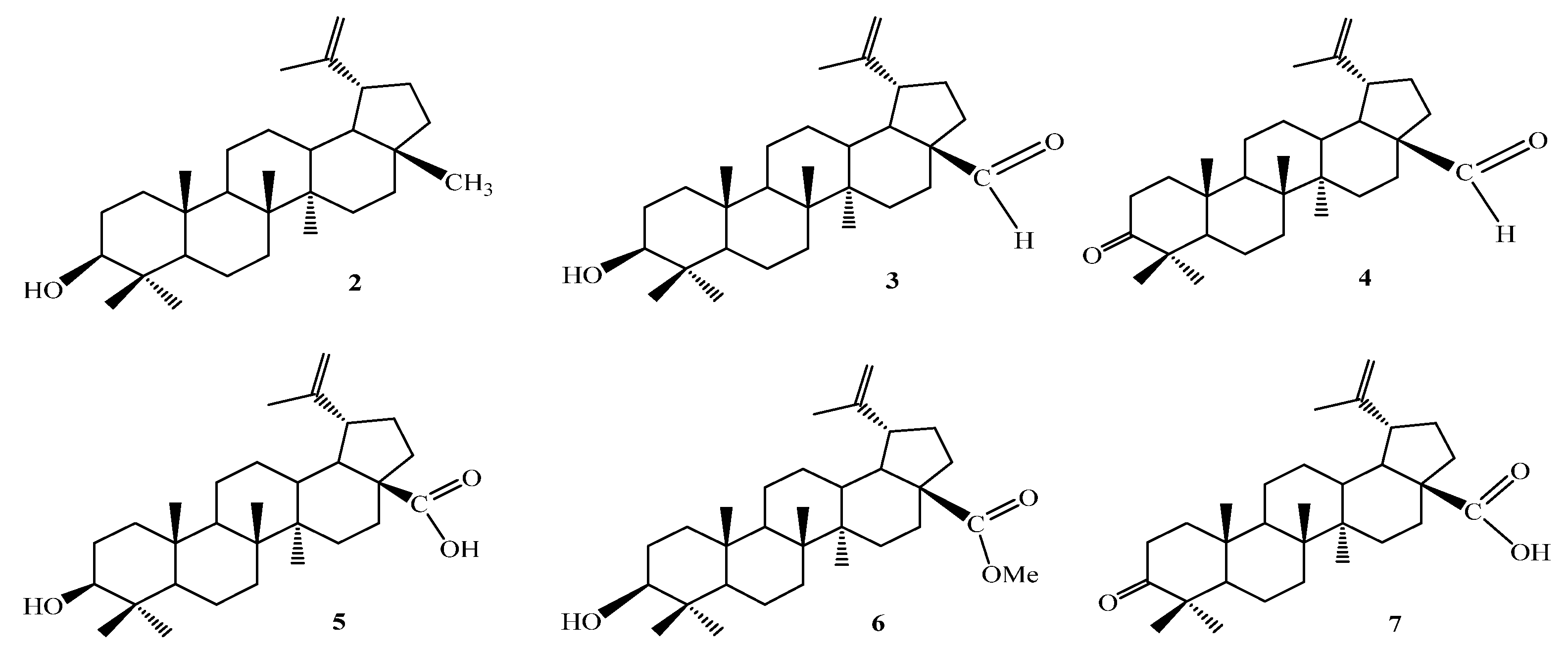 Molecules 28 05946 g002