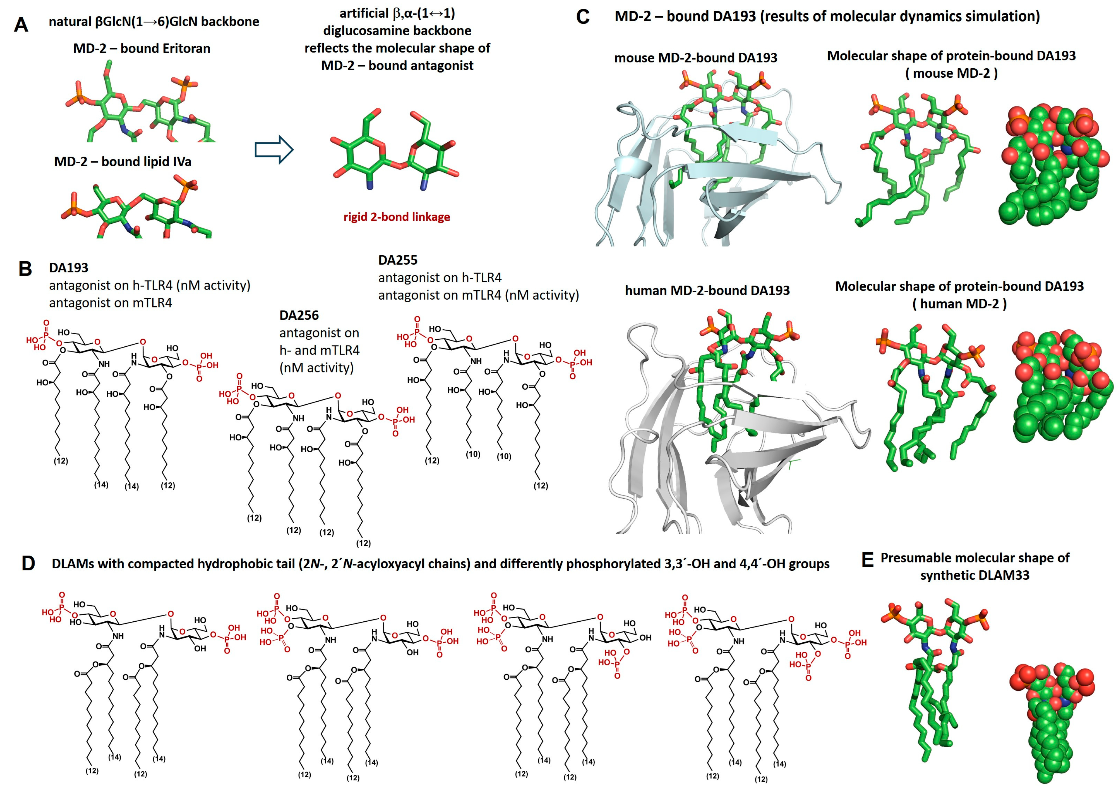 Molecules 28 05948 g002