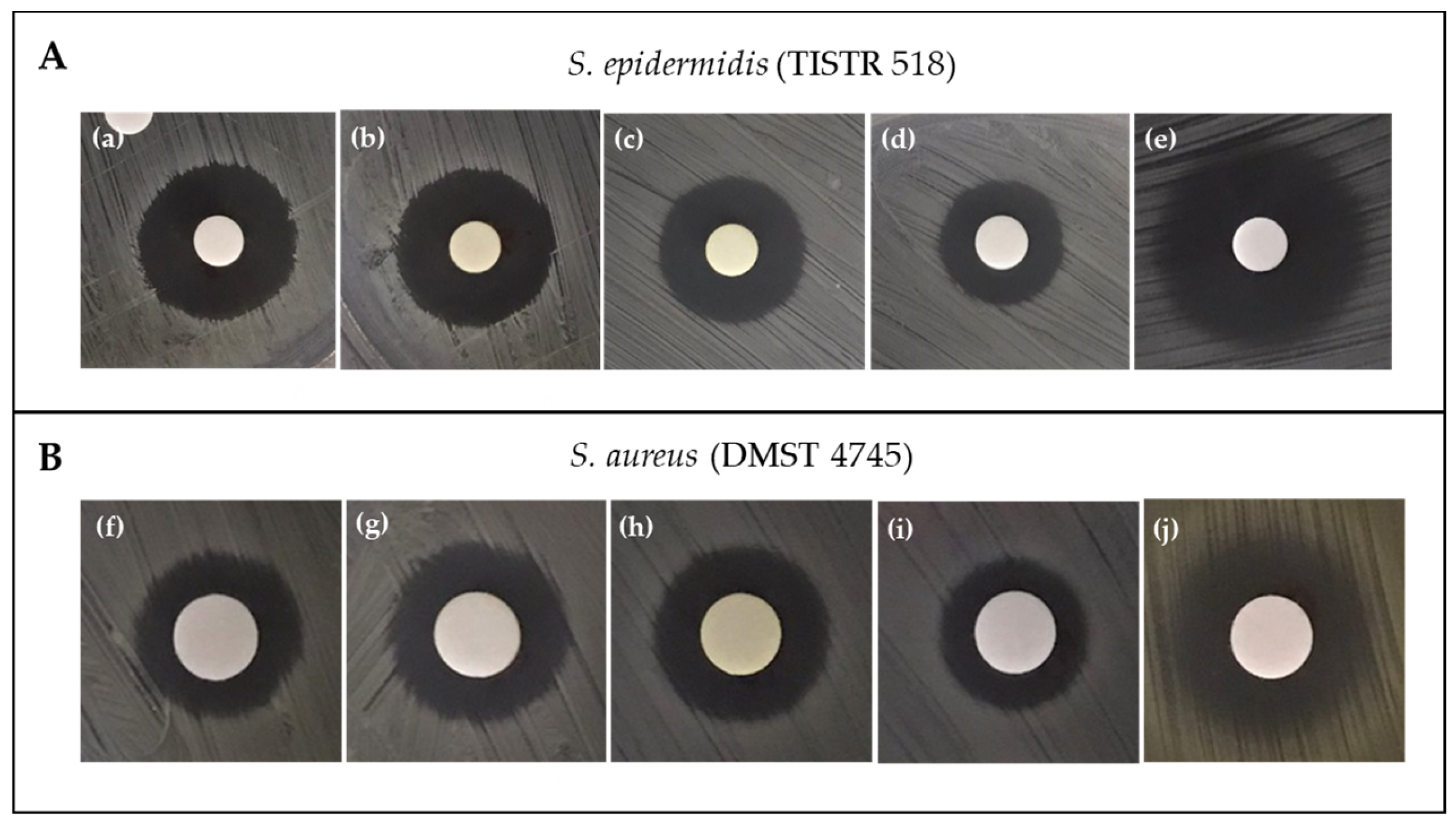 Molecules 28 05949 g002 Molecules 28 05949 g002