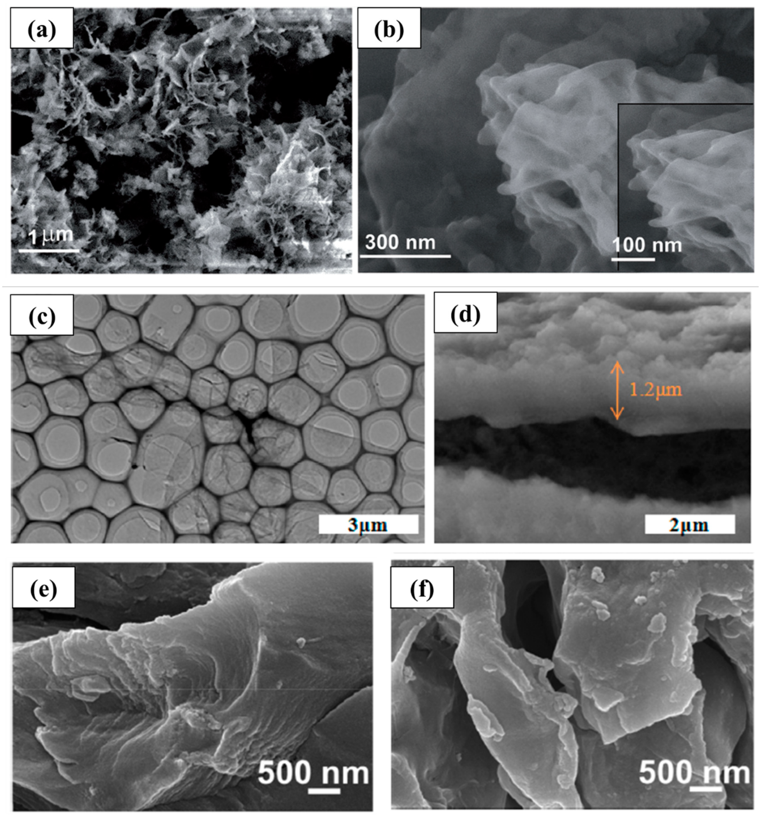 Molecules 28 05953 g002 Molecules 28 05953 g002