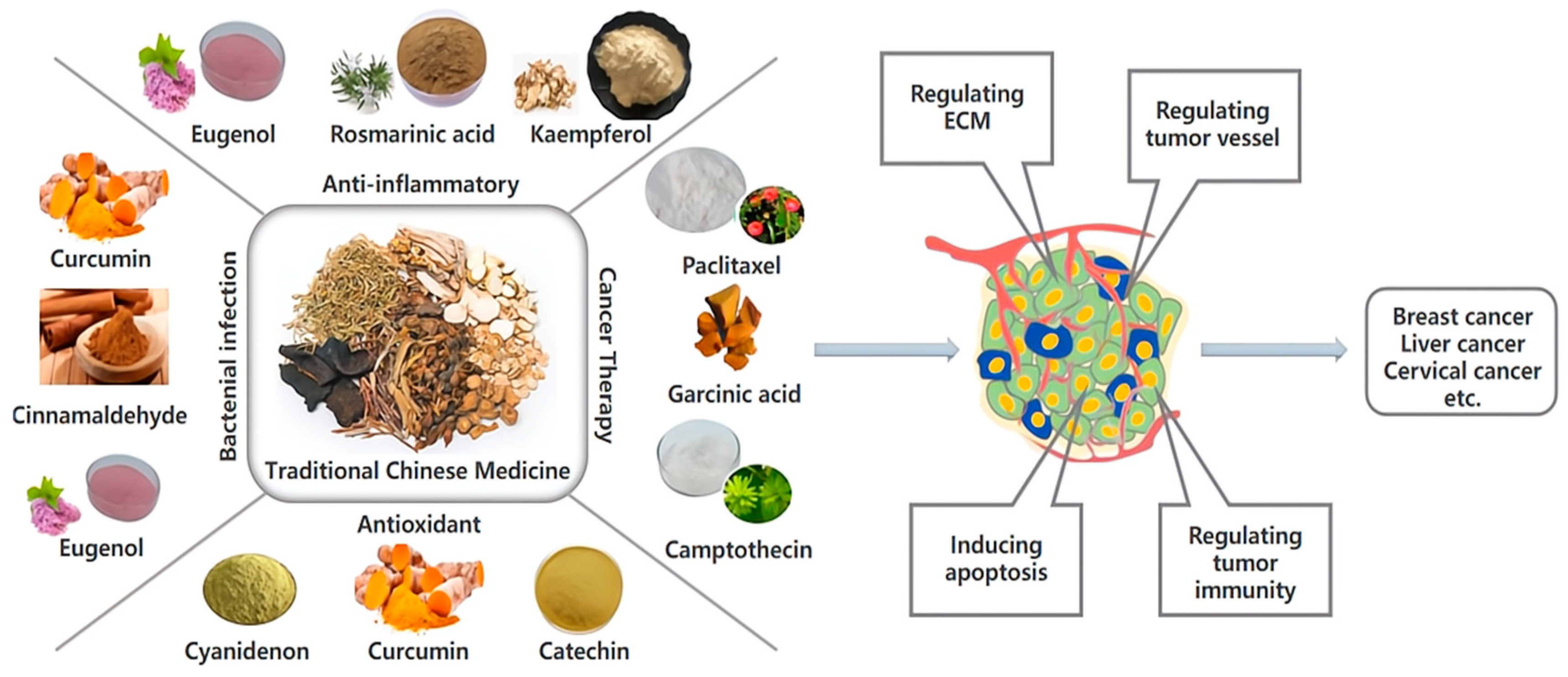 Molecules 28 05955 g001