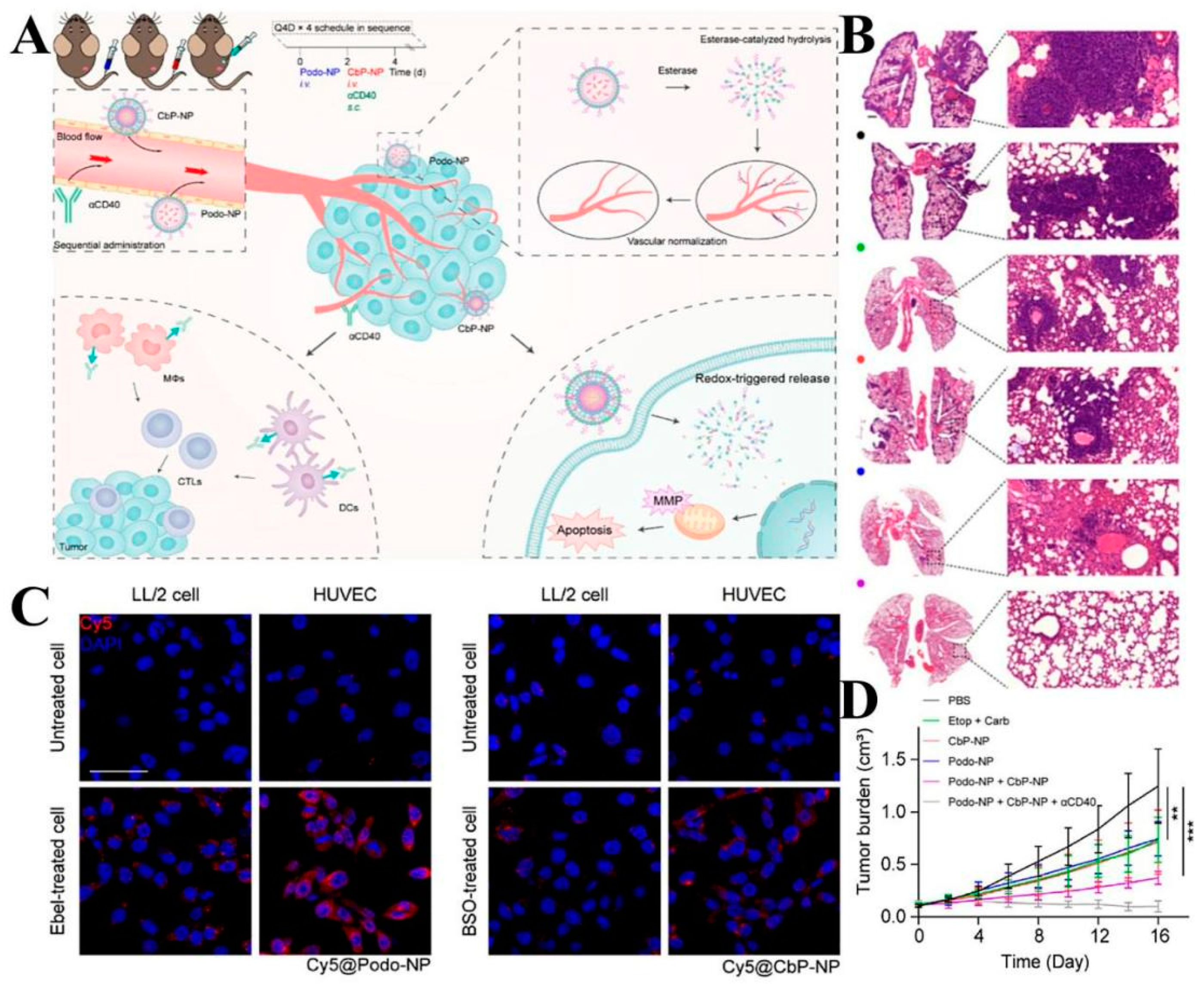 Molecules 28 05955 g006