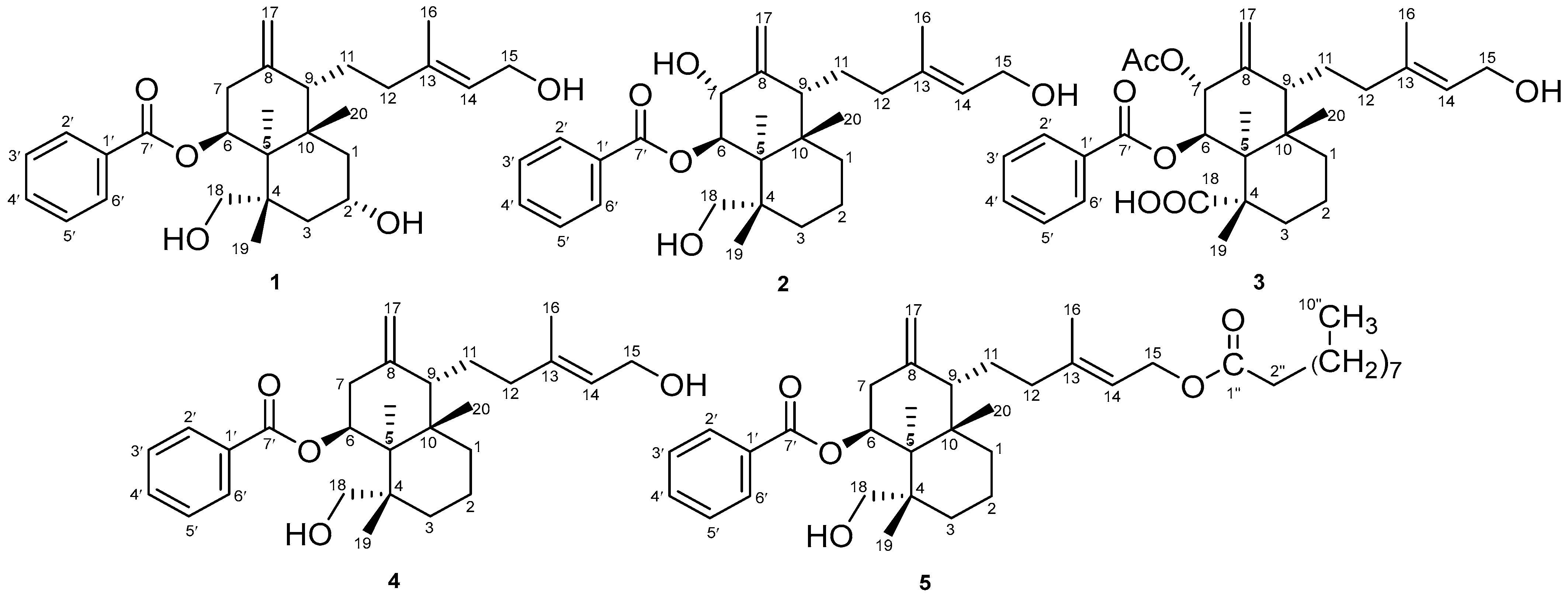 Molecules 28 05960 g001 Molecules 28 05960 g001