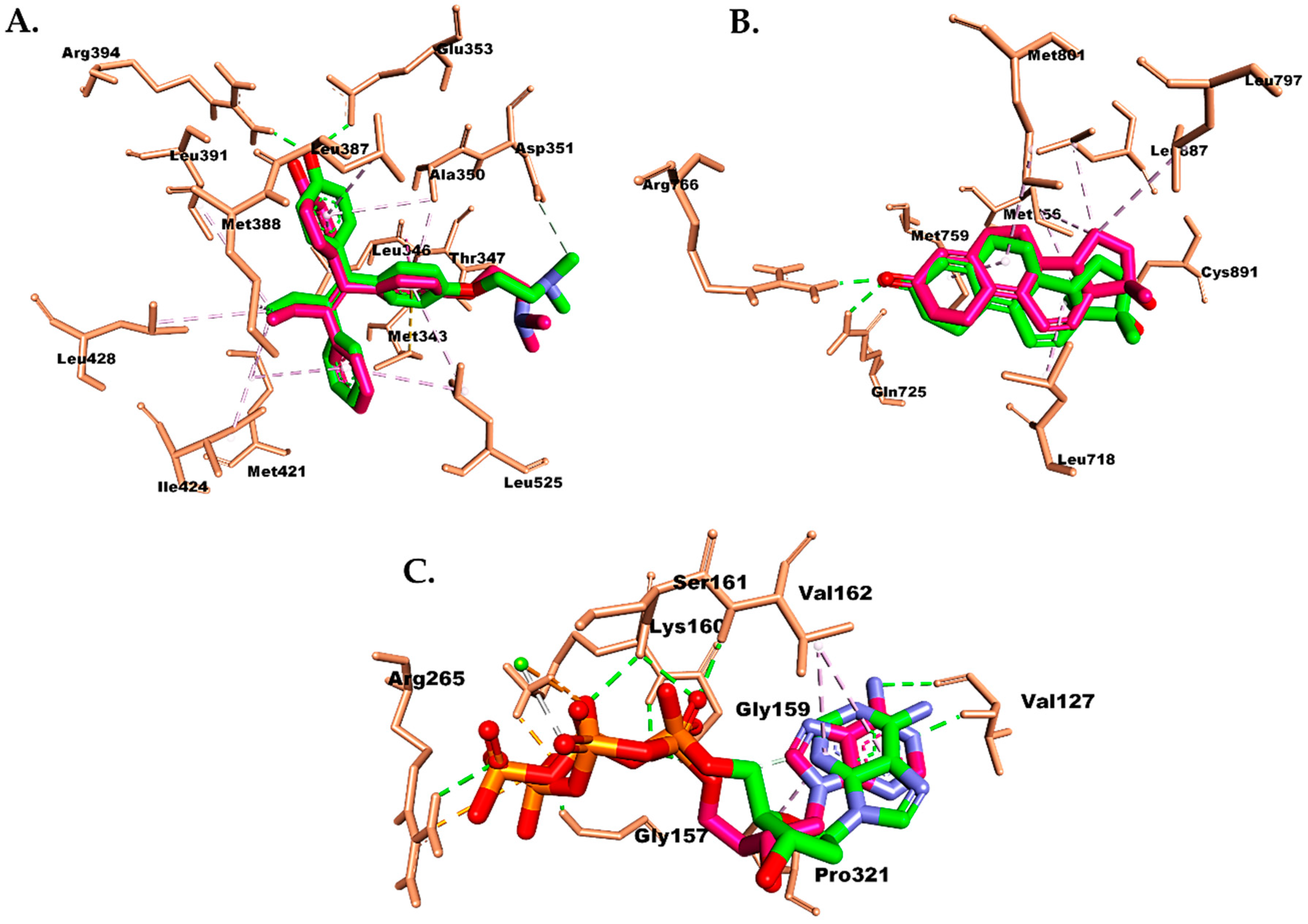 Molecules 28 05960 g009 Molecules 28 05960 g009
