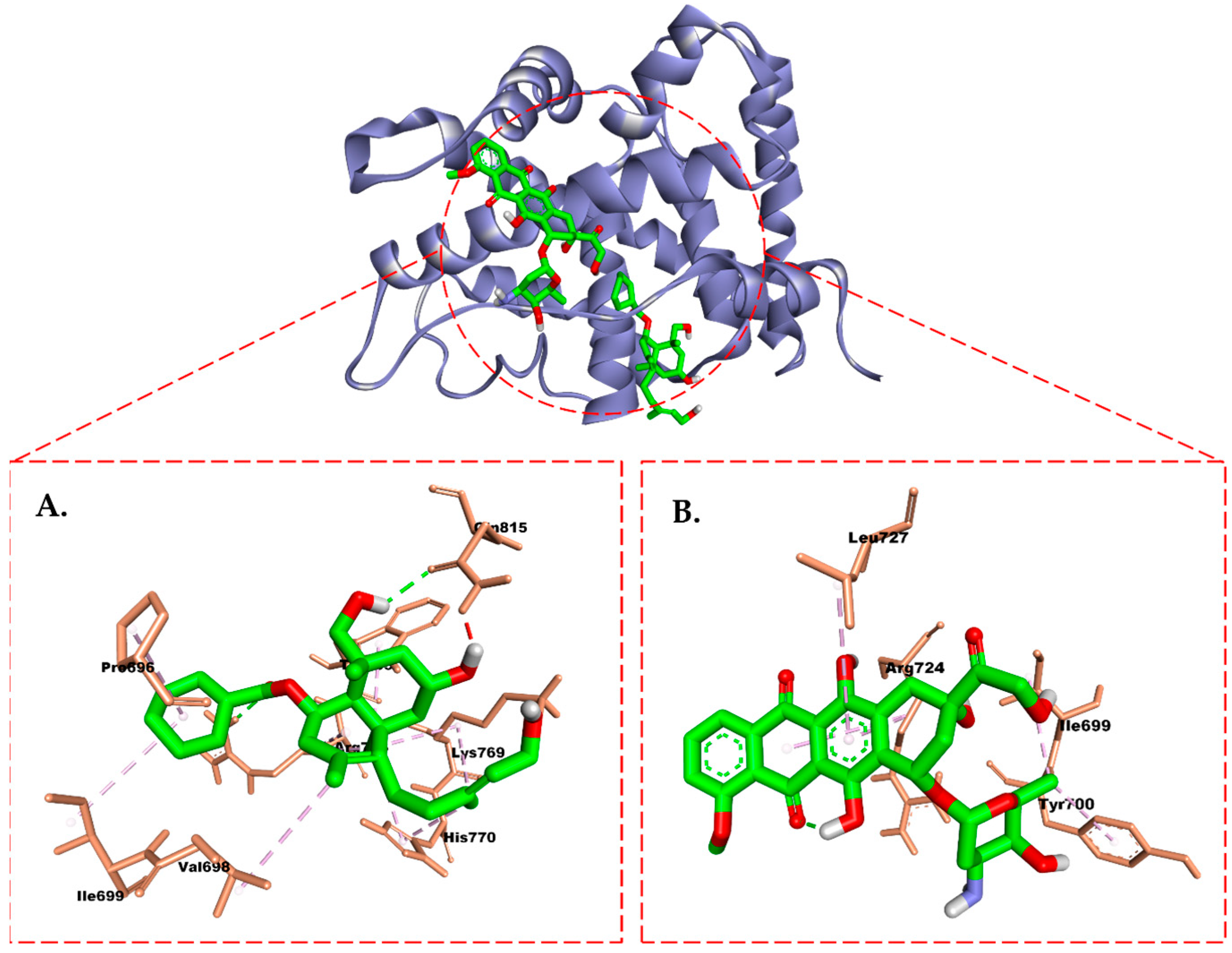 Molecules 28 05960 g011 Molecules 28 05960 g011