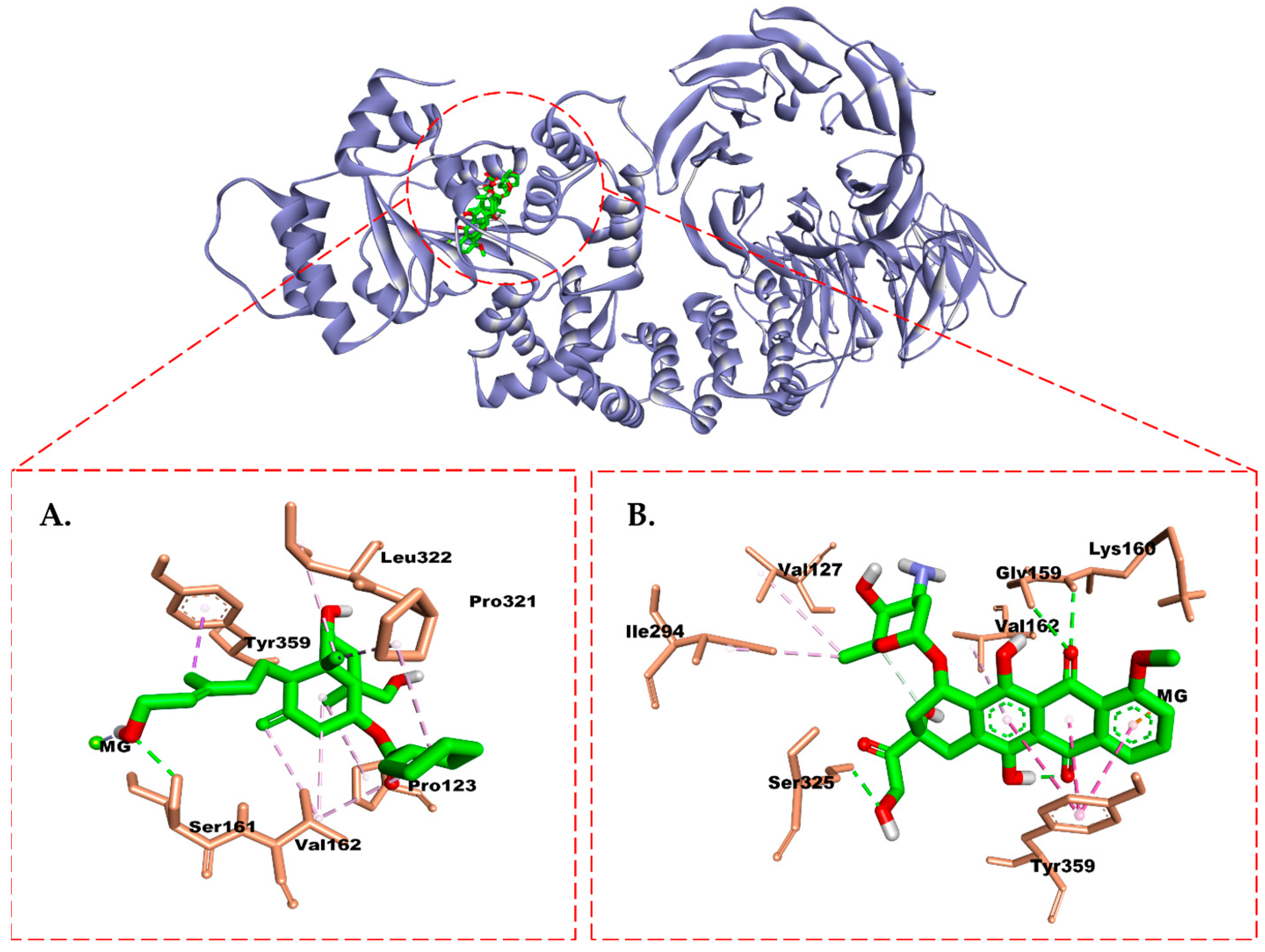 Molecules 28 05960 g012 Molecules 28 05960 g012