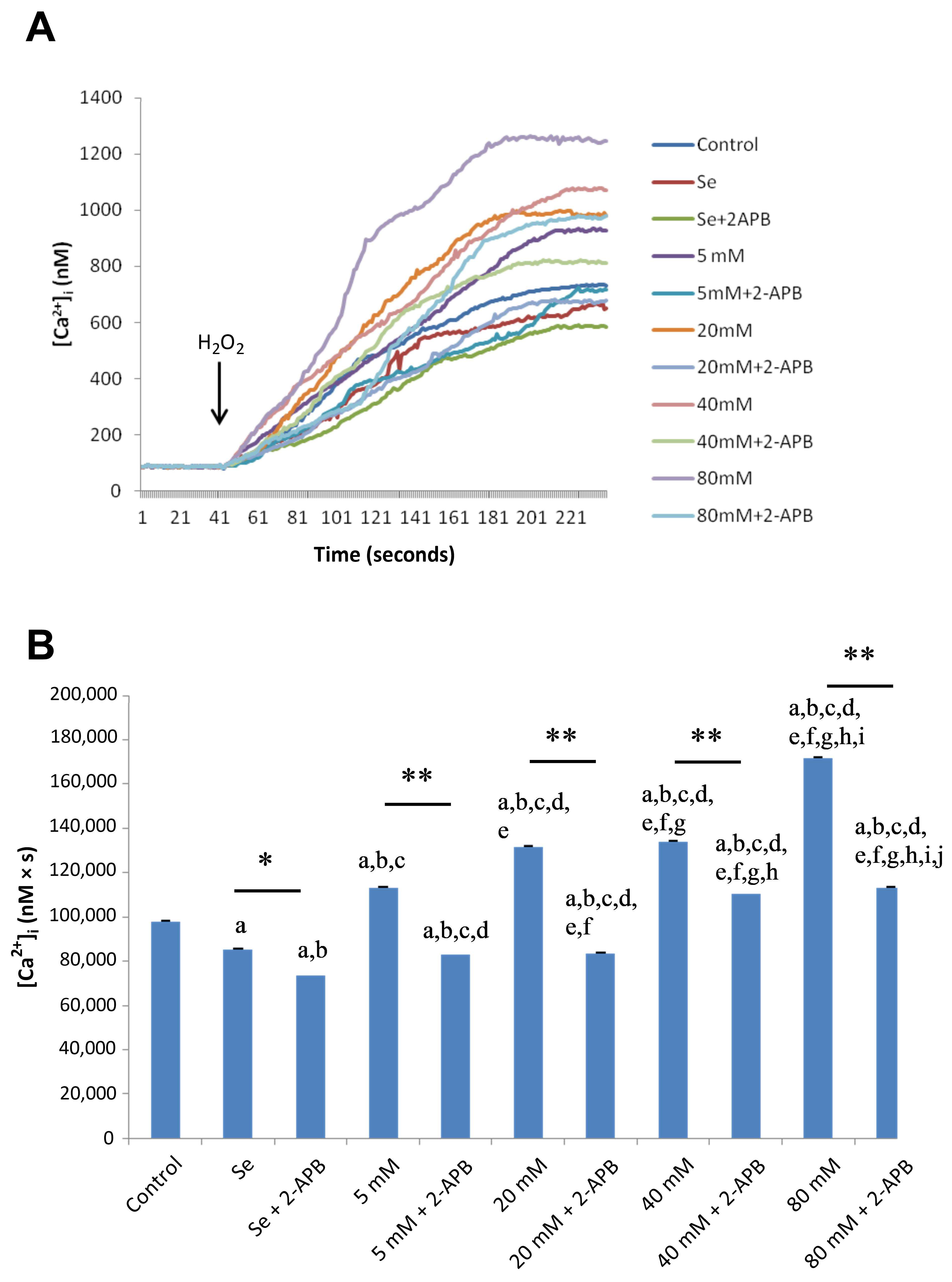 Molecules 28 05961 g003 Molecules 28 05961 g003