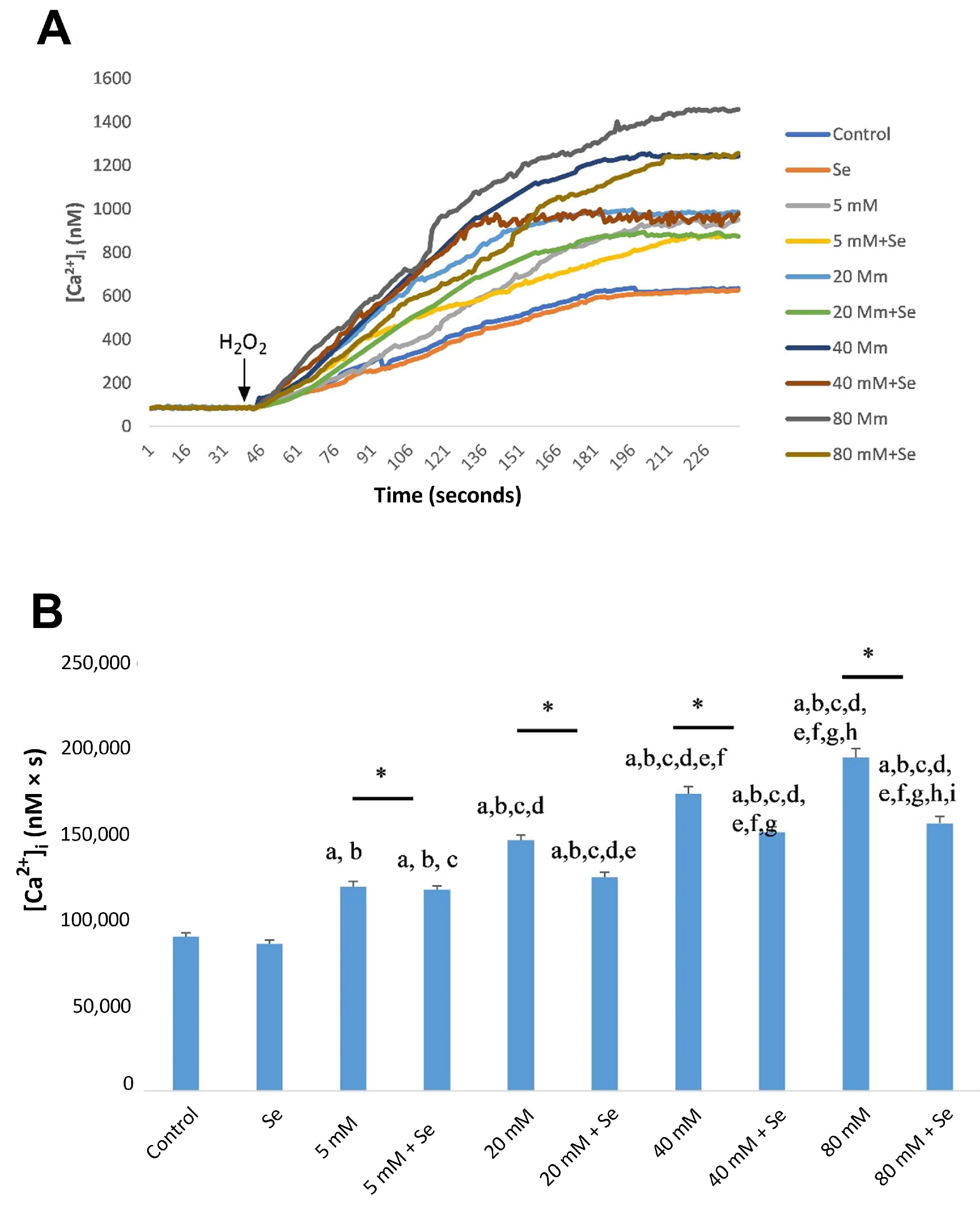 Molecules 28 05961 g004 Molecules 28 05961 g004