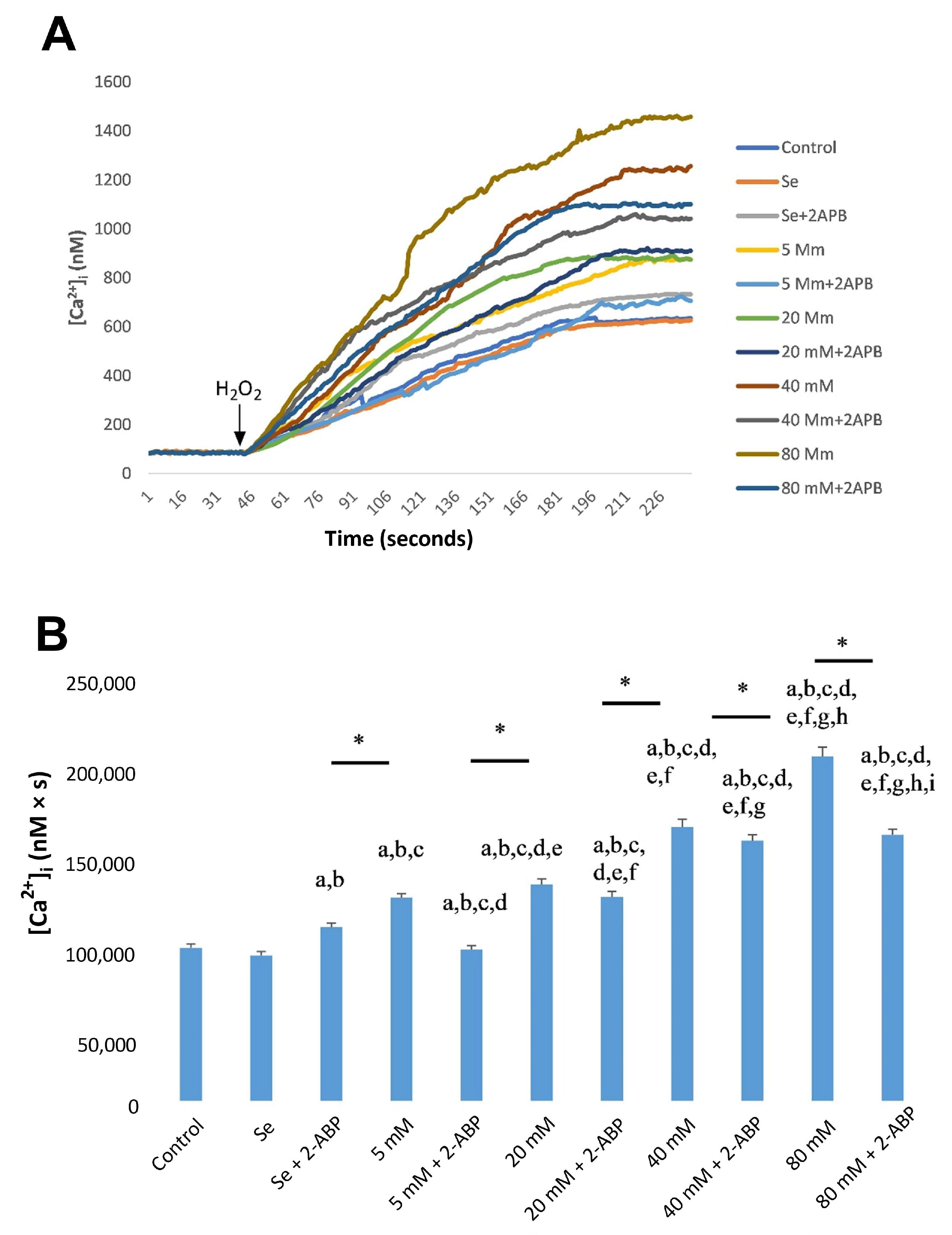 Molecules 28 05961 g005 Molecules 28 05961 g005