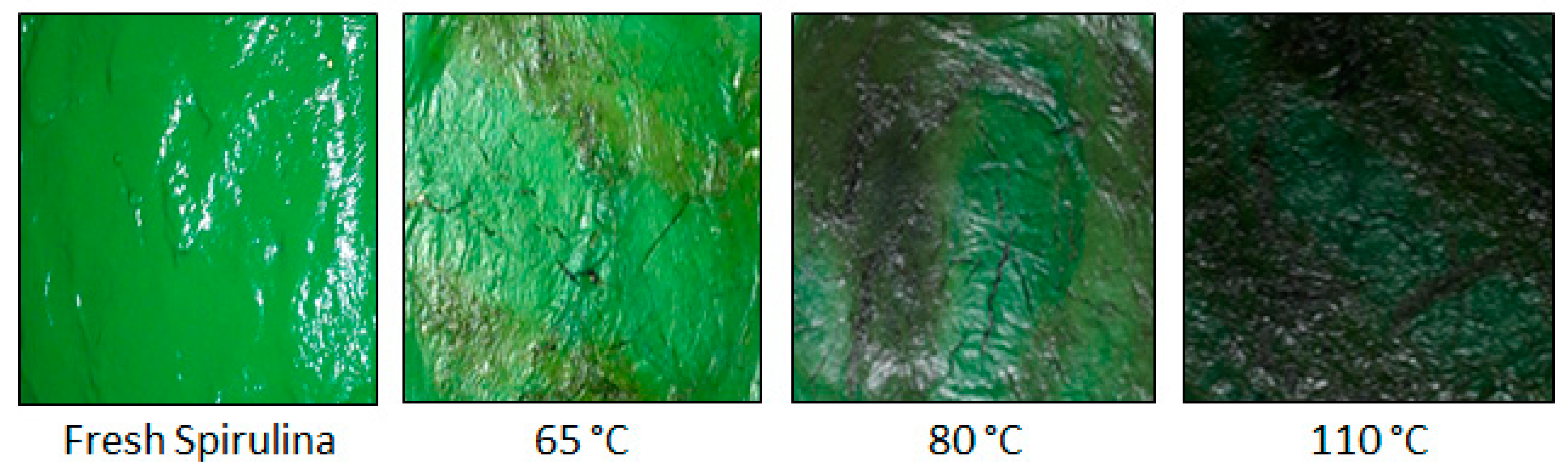 Molecules 28 05963 g001 Molecules 28 05963 g001