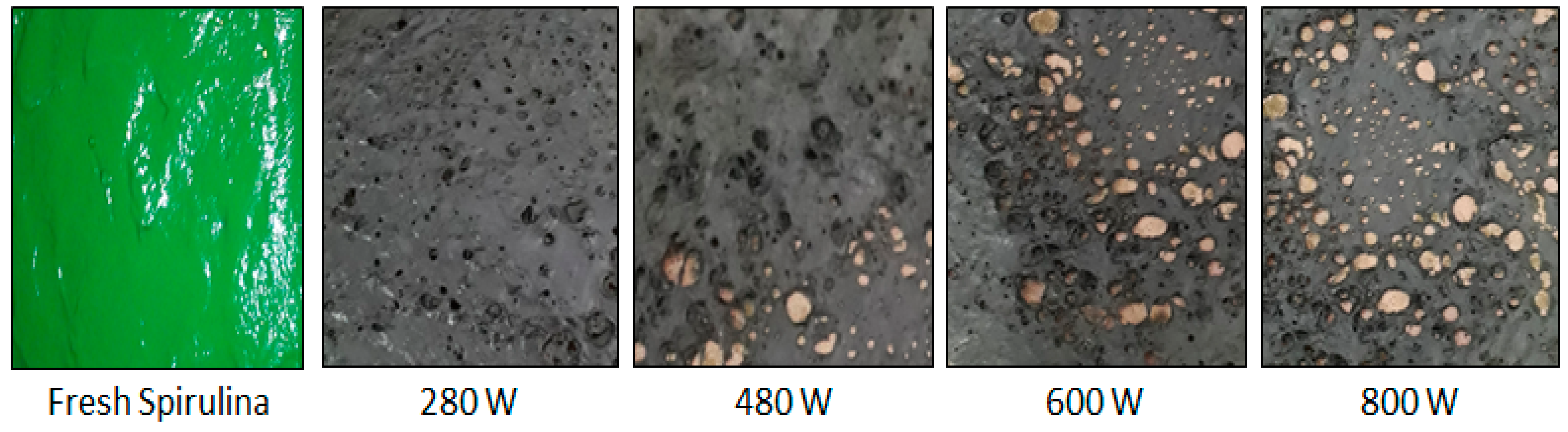Molecules 28 05963 g005 Molecules 28 05963 g005