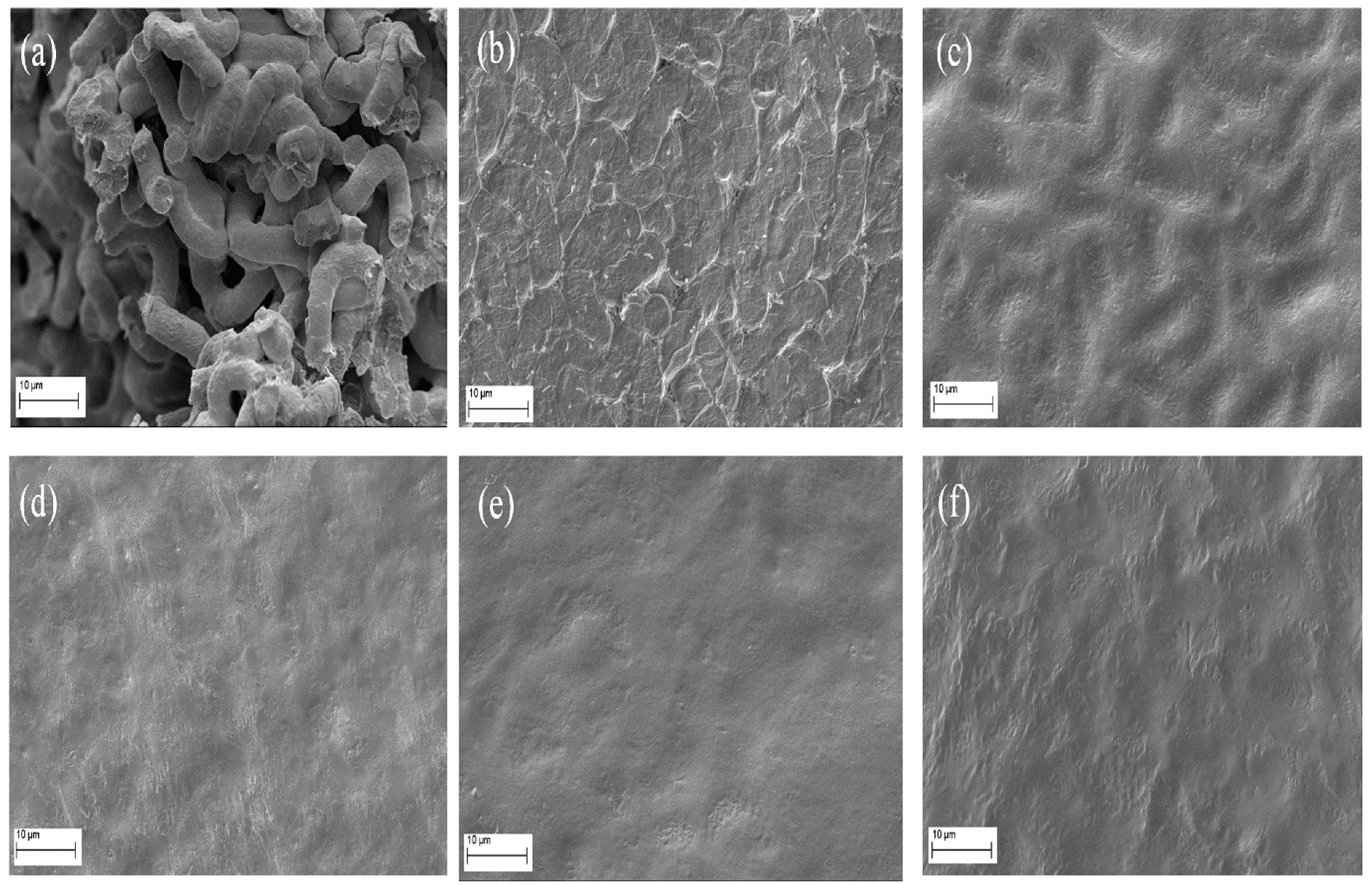 Molecules 28 05963 g006 Molecules 28 05963 g006