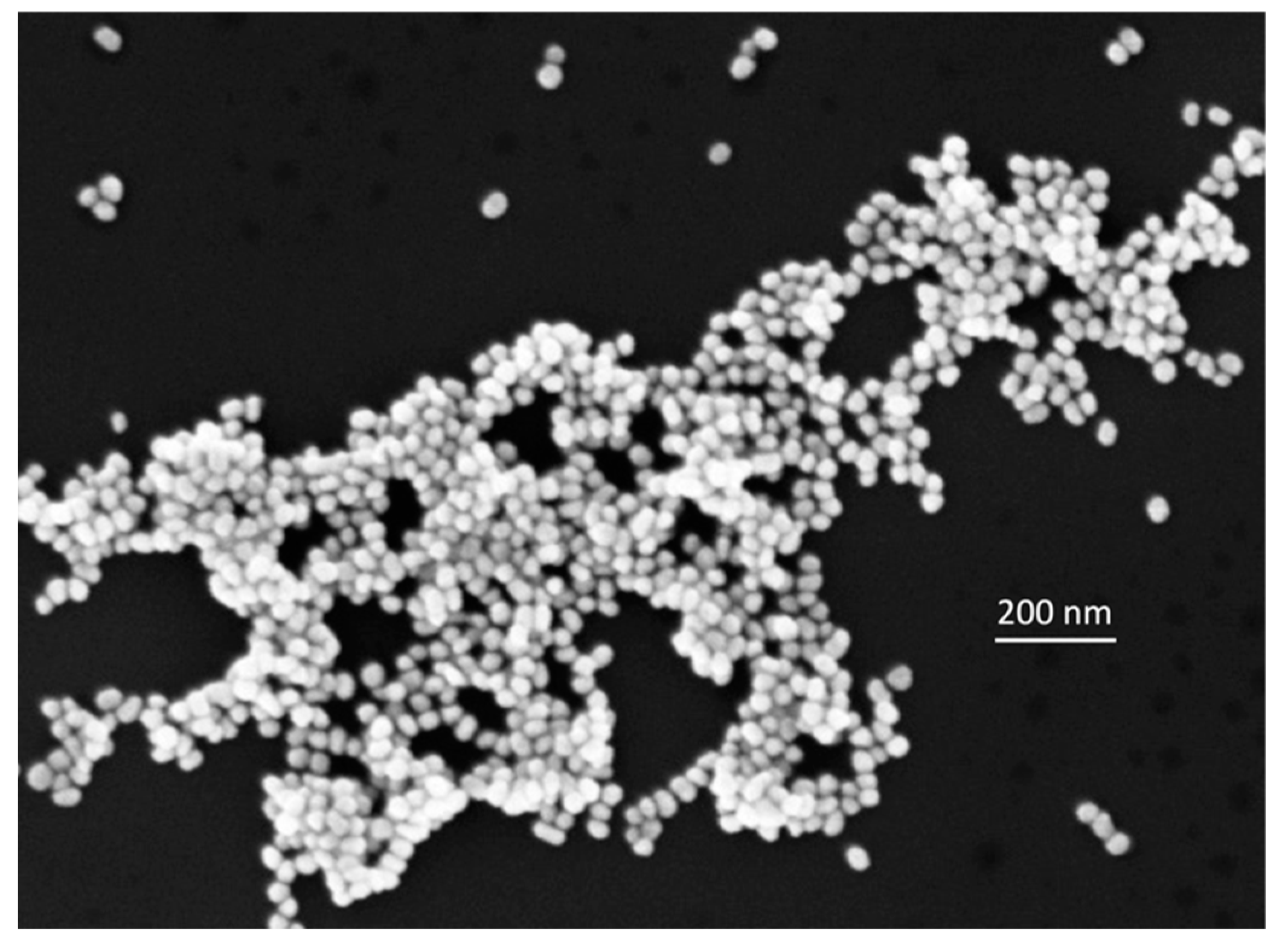 Molecules 28 05968 g009 Molecules 28 05968 g009