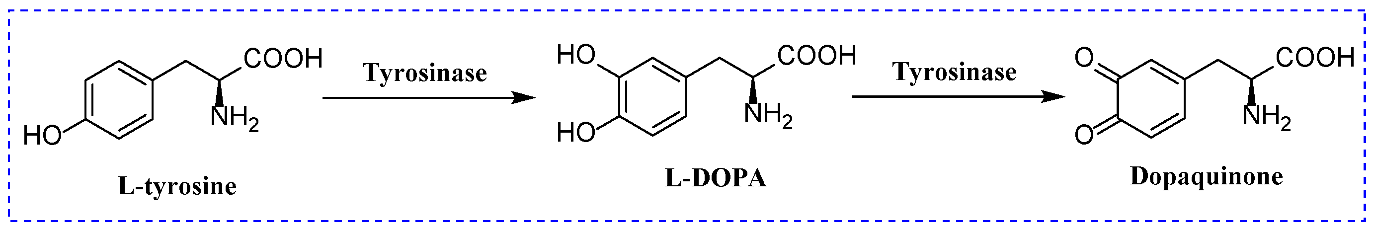 Molecules 28 05969 g001 Molecules 28 05969 g001