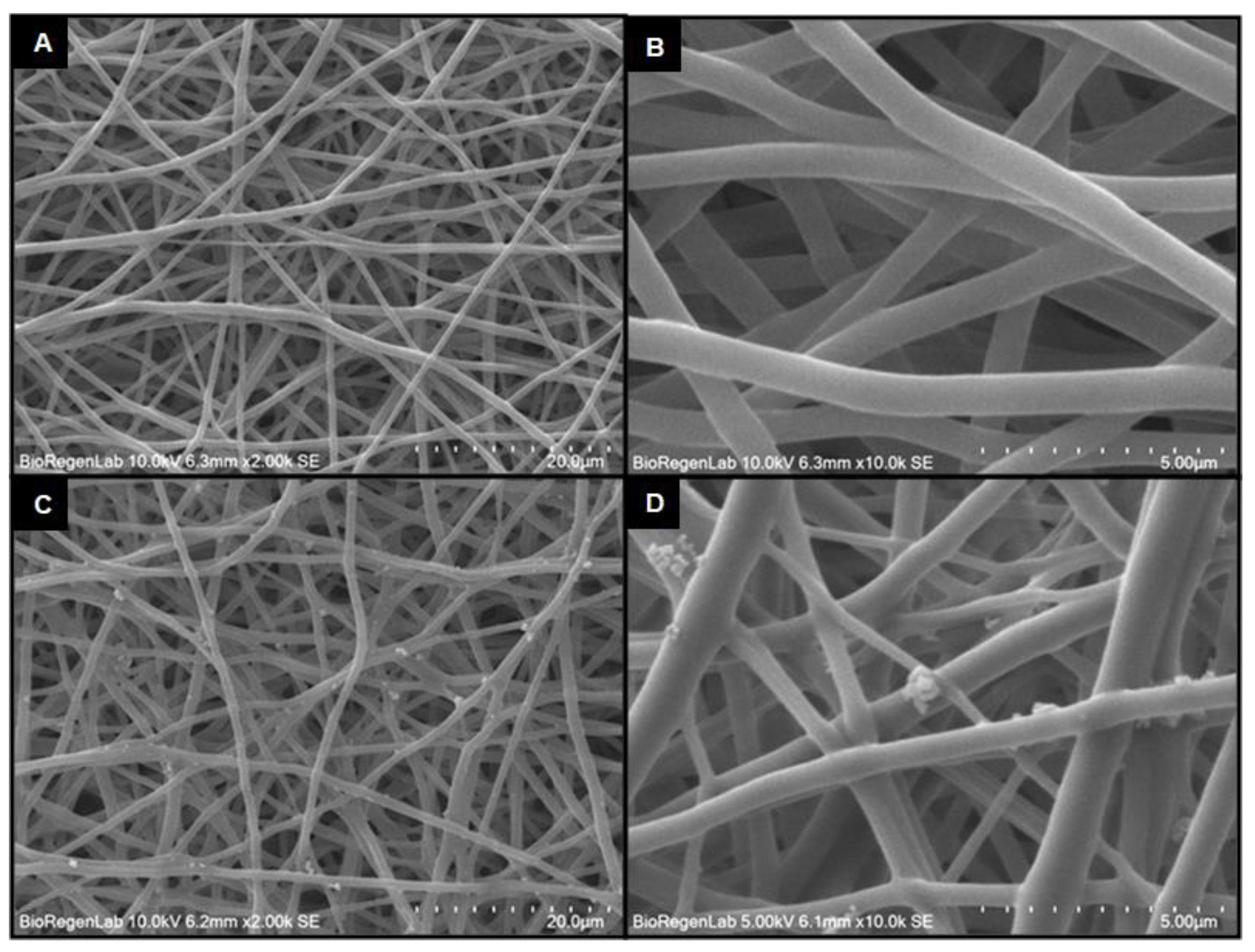 Molecules 28 05981 g002 Molecules 28 05981 g002