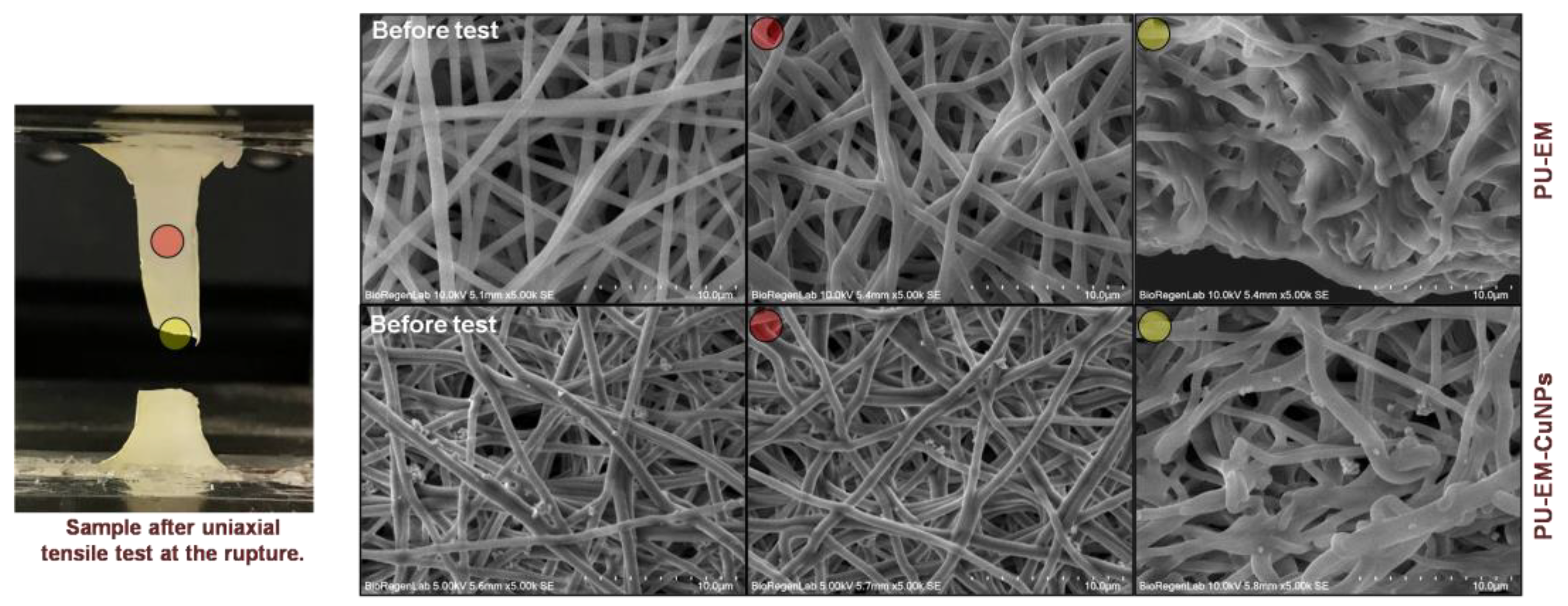 Molecules 28 05981 g005 Molecules 28 05981 g005