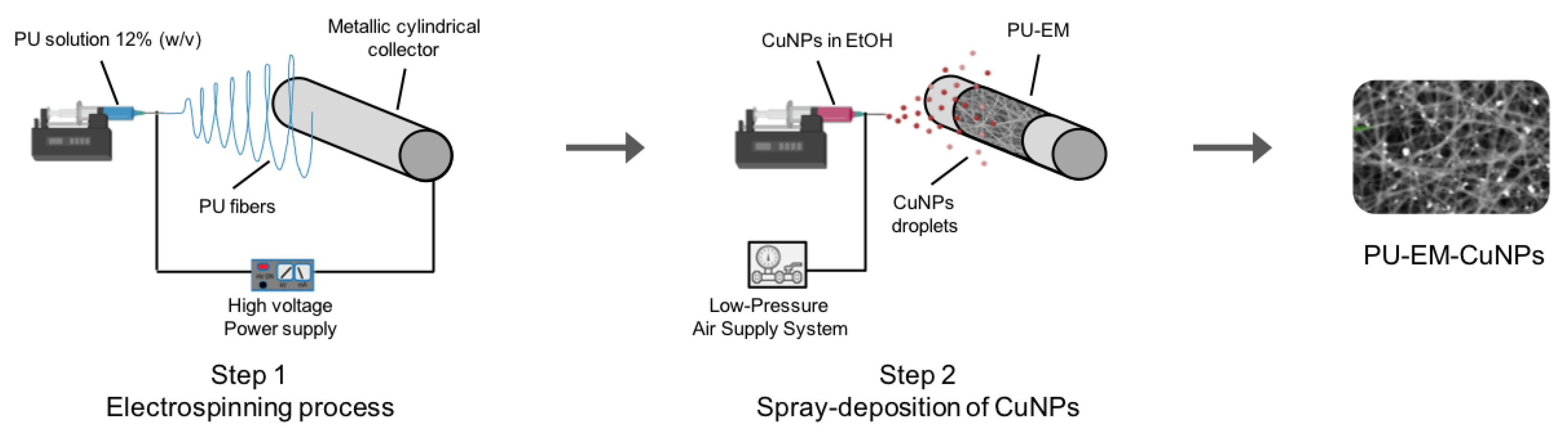 Molecules 28 05981 g010 Molecules 28 05981 g010