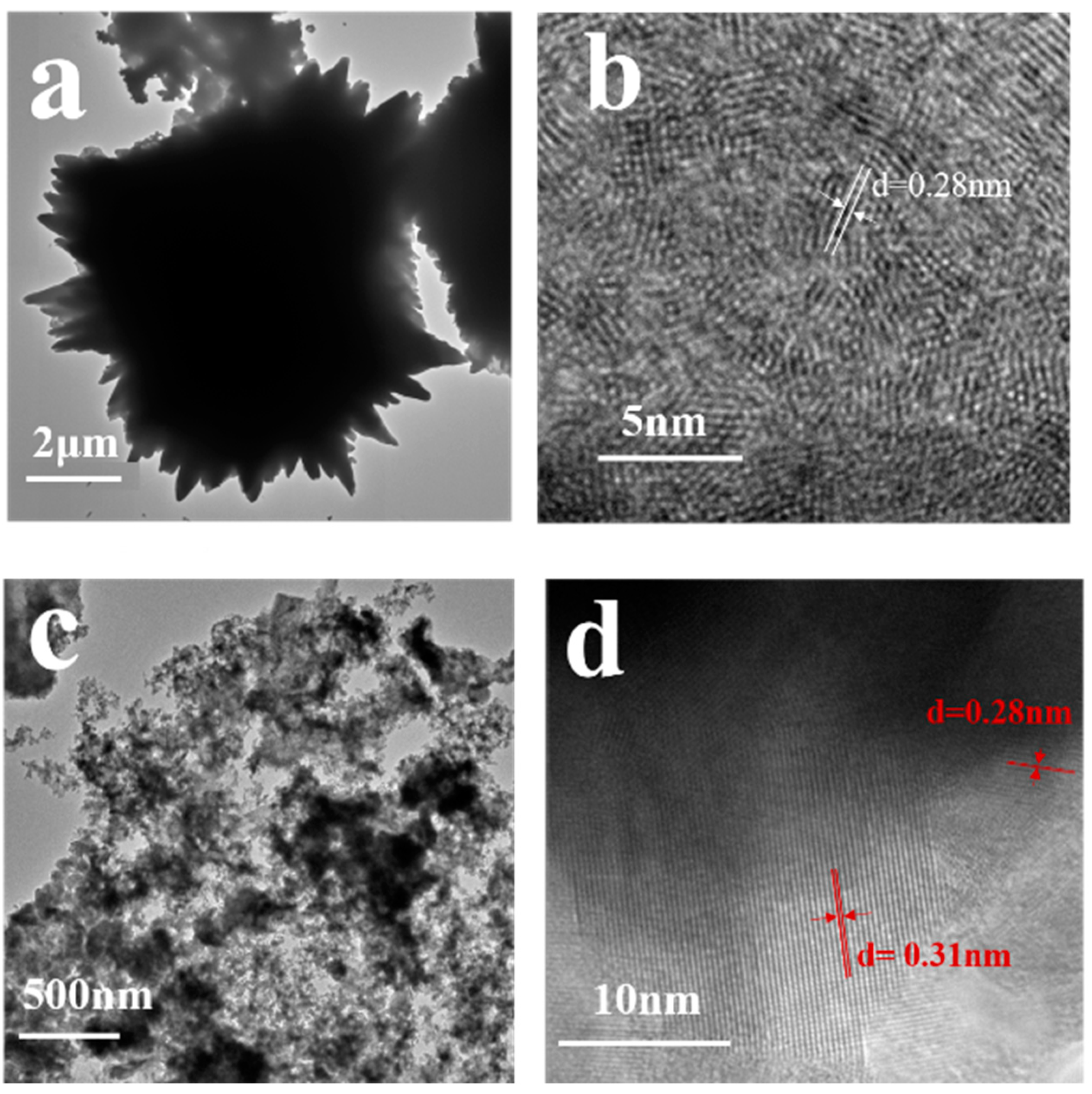 Molecules 28 05988 g003