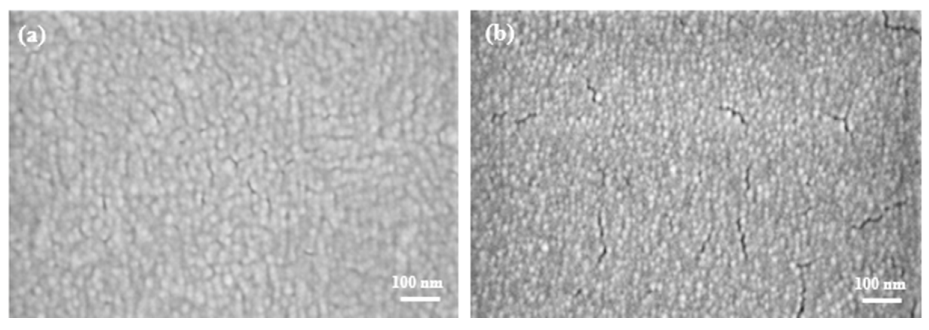 Molecules 28 05989 g005