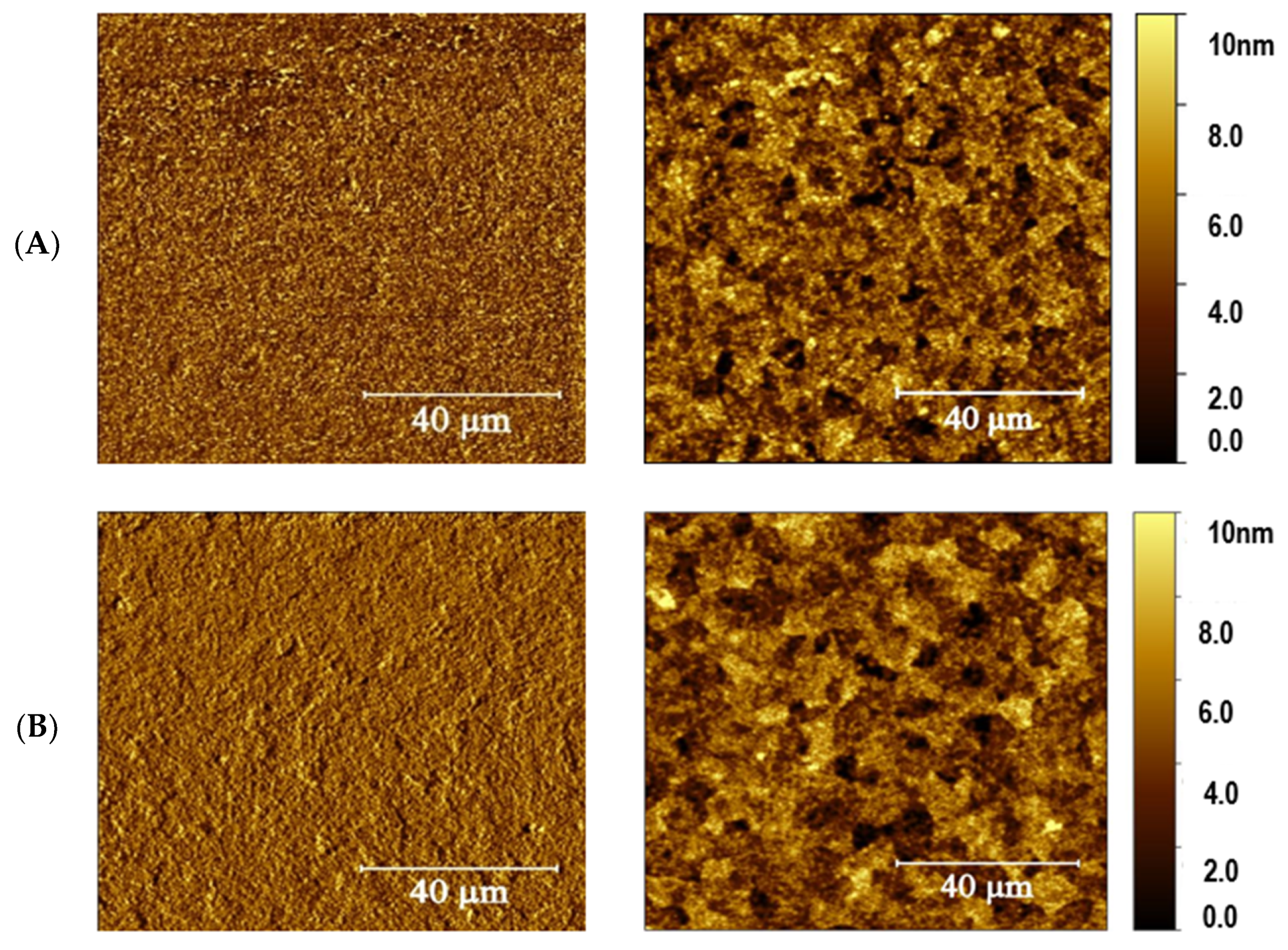 Molecules 28 05989 g006